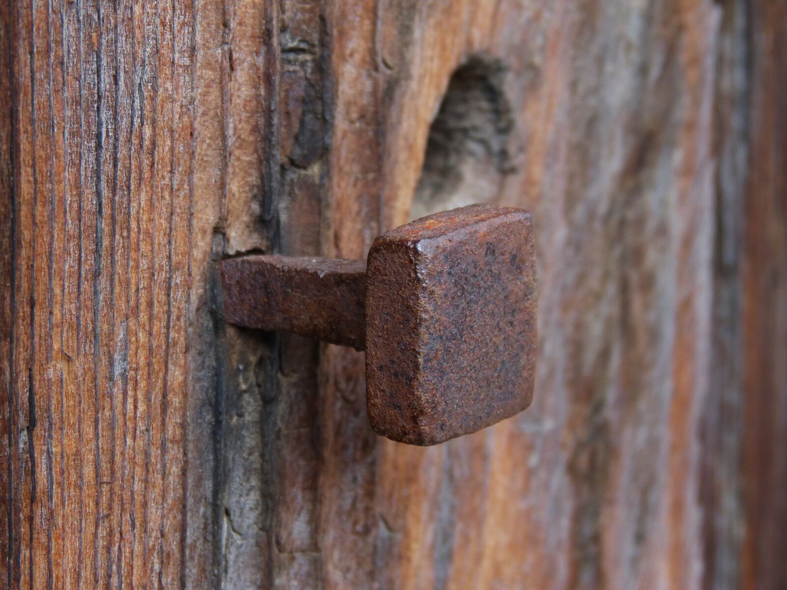 Panasonic DMC-FZ62 sample photo. Nail, old, rusty photography