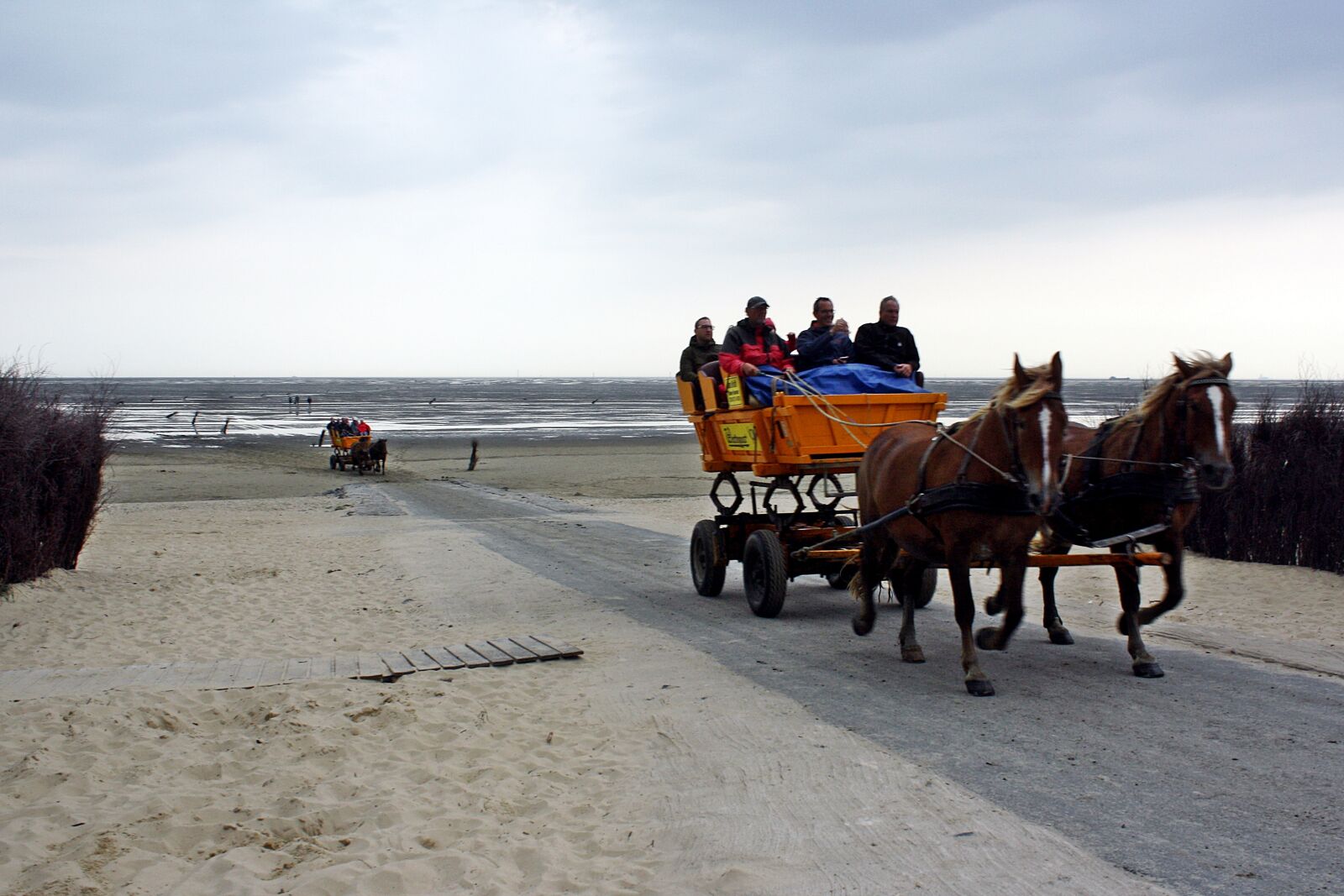 Canon EOS 1000D (EOS Digital Rebel XS / EOS Kiss F) sample photo. Cuxhaven, north sea, watts photography