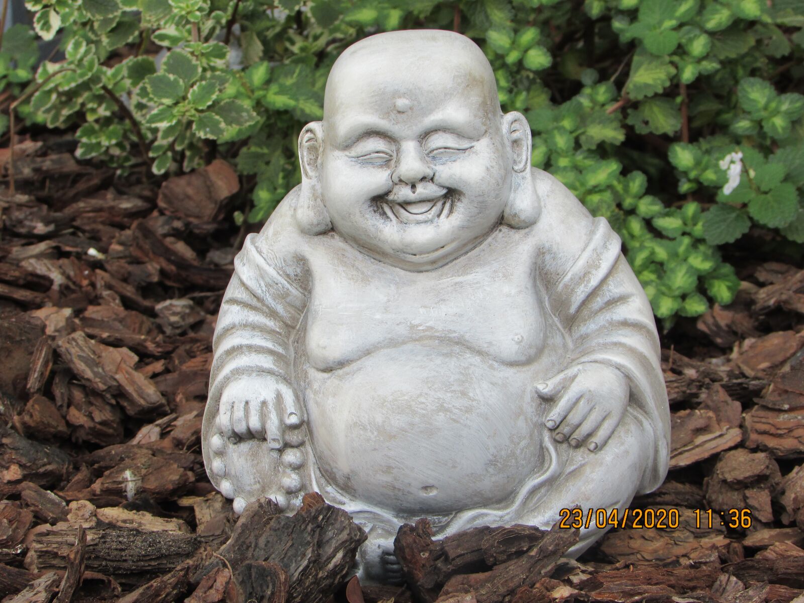 Canon PowerShot SX400 IS sample photo. Laughing buddha, goodvibes, buddha photography