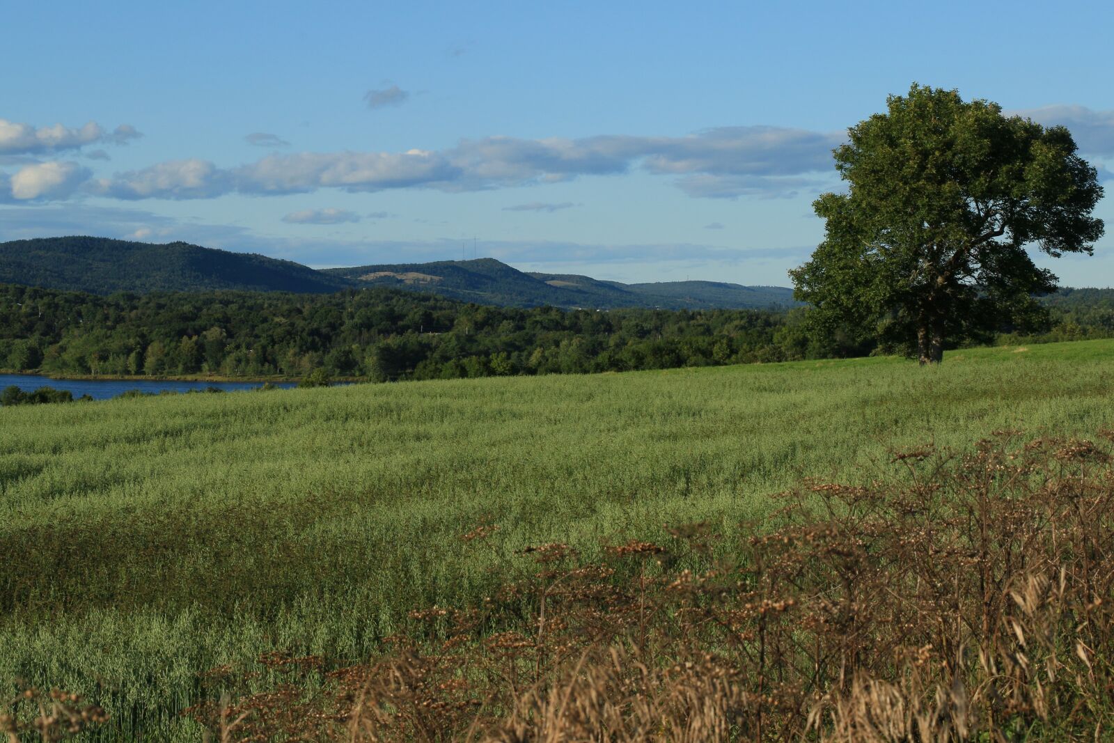 Canon EOS 7D Mark II sample photo. Landscape, panoramic, nature photography