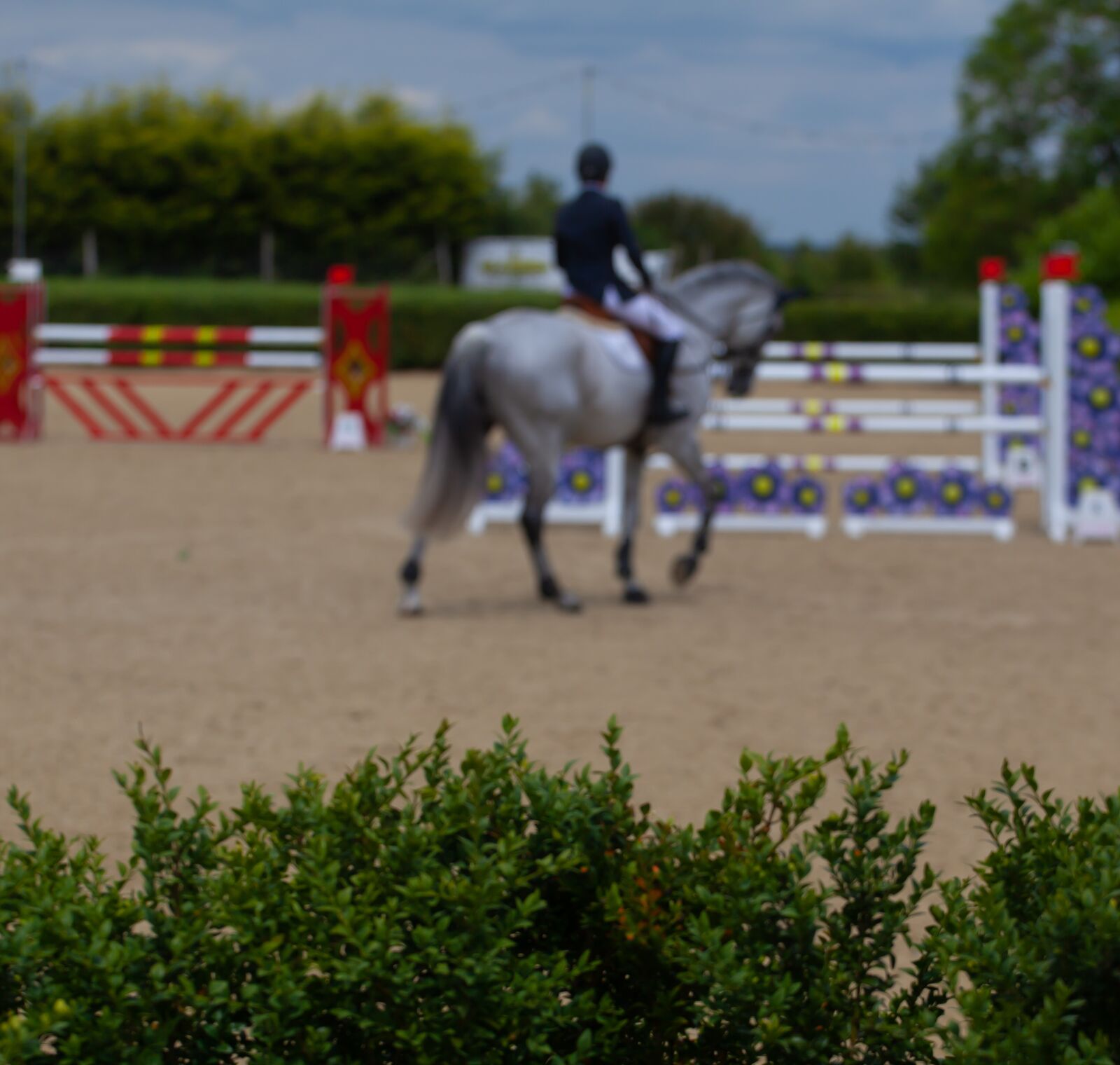 Canon EF 70-200mm F4L USM sample photo. Horse jumping, jumping, equestrian photography
