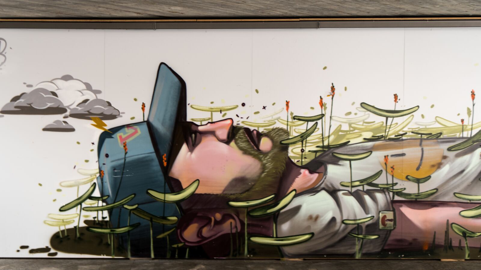Sony a6500 + Sony Vario-Tessar T* E 16-70mm F4 ZA OSS sample photo. Graffiti, human, decoration photography