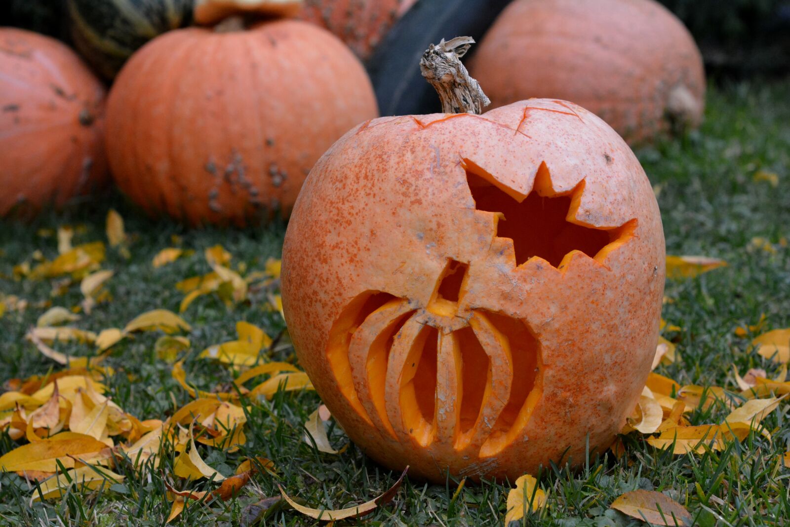 Nikon D5200 sample photo. Pumpkin, pumpkins, powycinana pumpkin photography
