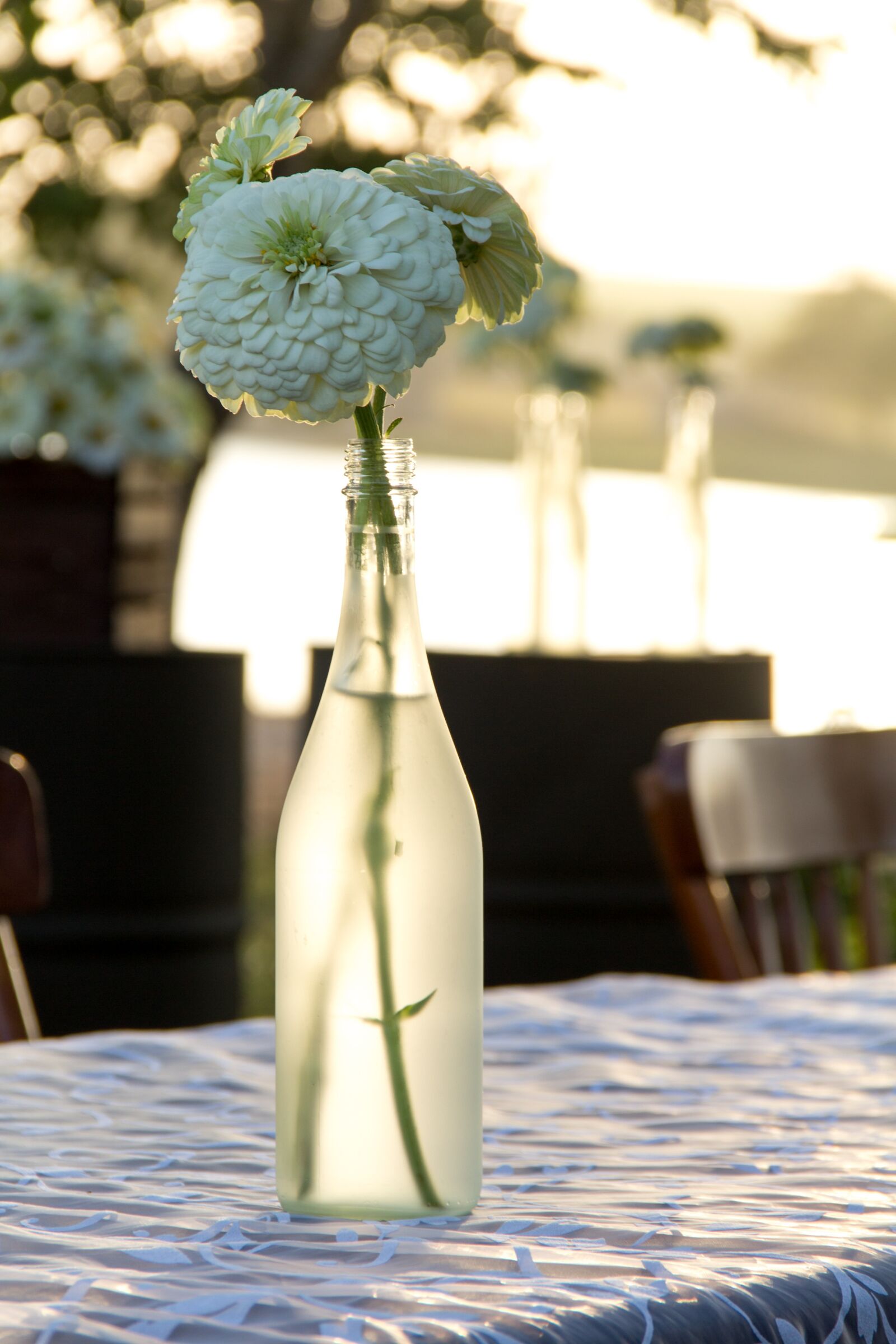 Canon EOS 600D (Rebel EOS T3i / EOS Kiss X5) sample photo. Flower, floral, blossom photography