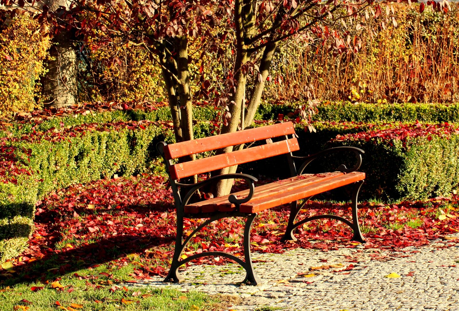 Canon EOS 1200D (EOS Rebel T5 / EOS Kiss X70 / EOS Hi) sample photo. Bench, sunny day, park photography