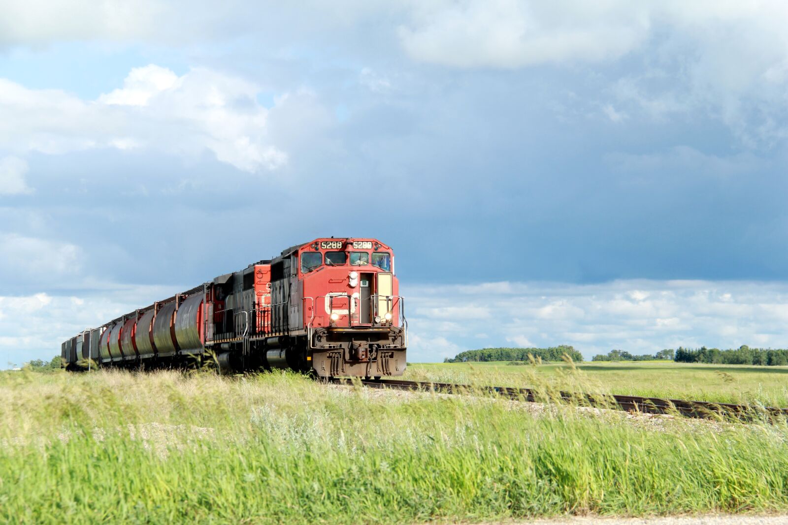 Canon EF-S 18-200mm F3.5-5.6 IS sample photo. Train, cn rail, railroad photography