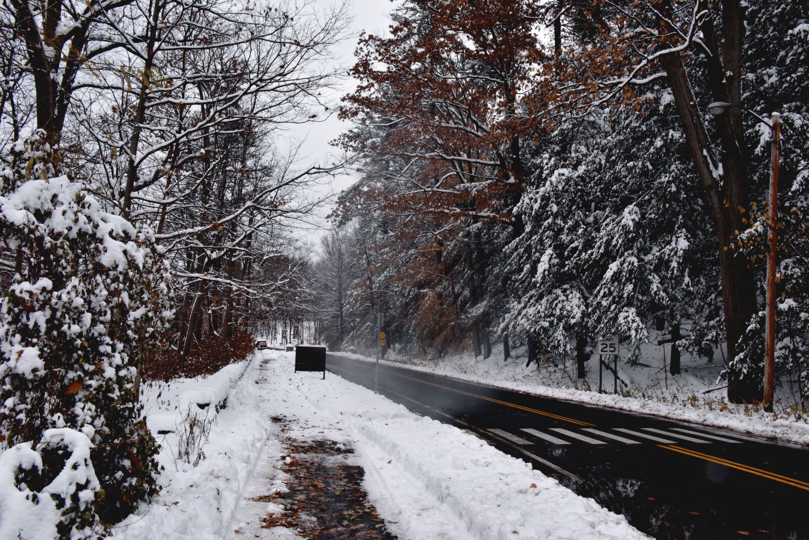 Nikon D810 sample photo. Winter road, winter landscape photography
