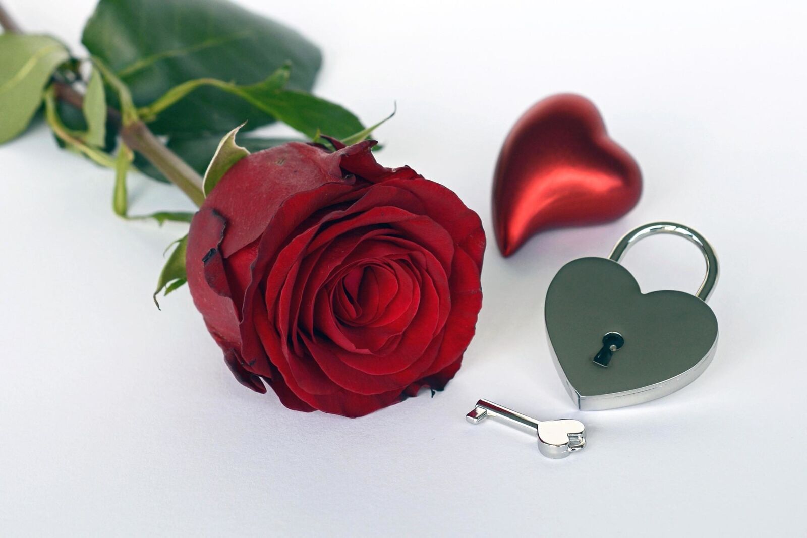 Nikon D7100 sample photo. Romance, love, rose, romantic photography