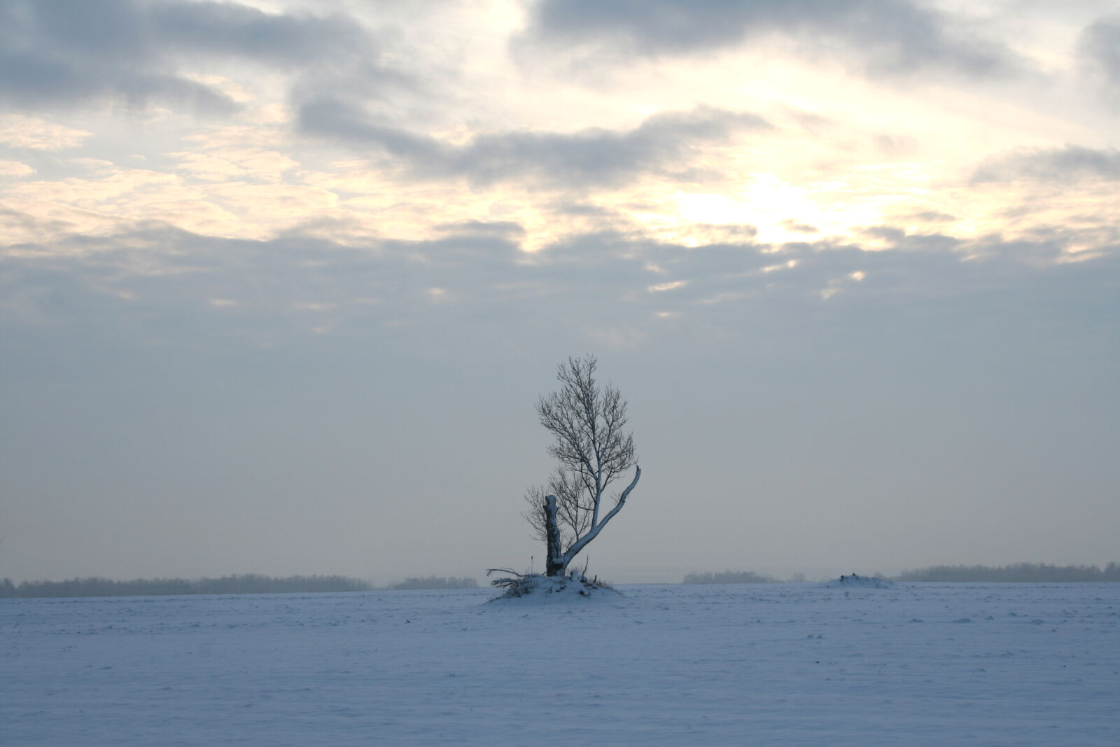 Canon EOS 20D sample photo