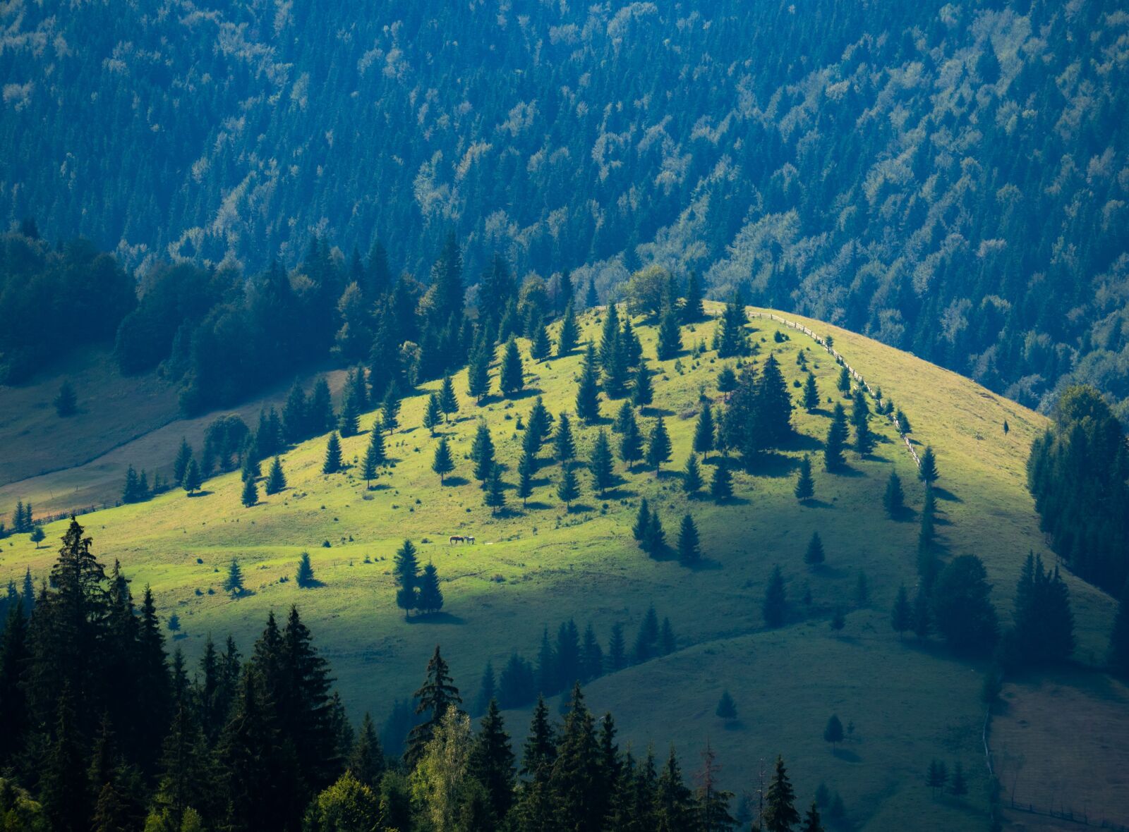 Panasonic Lumix DC-GH5 sample photo. Landscape, countryside, mountain top photography