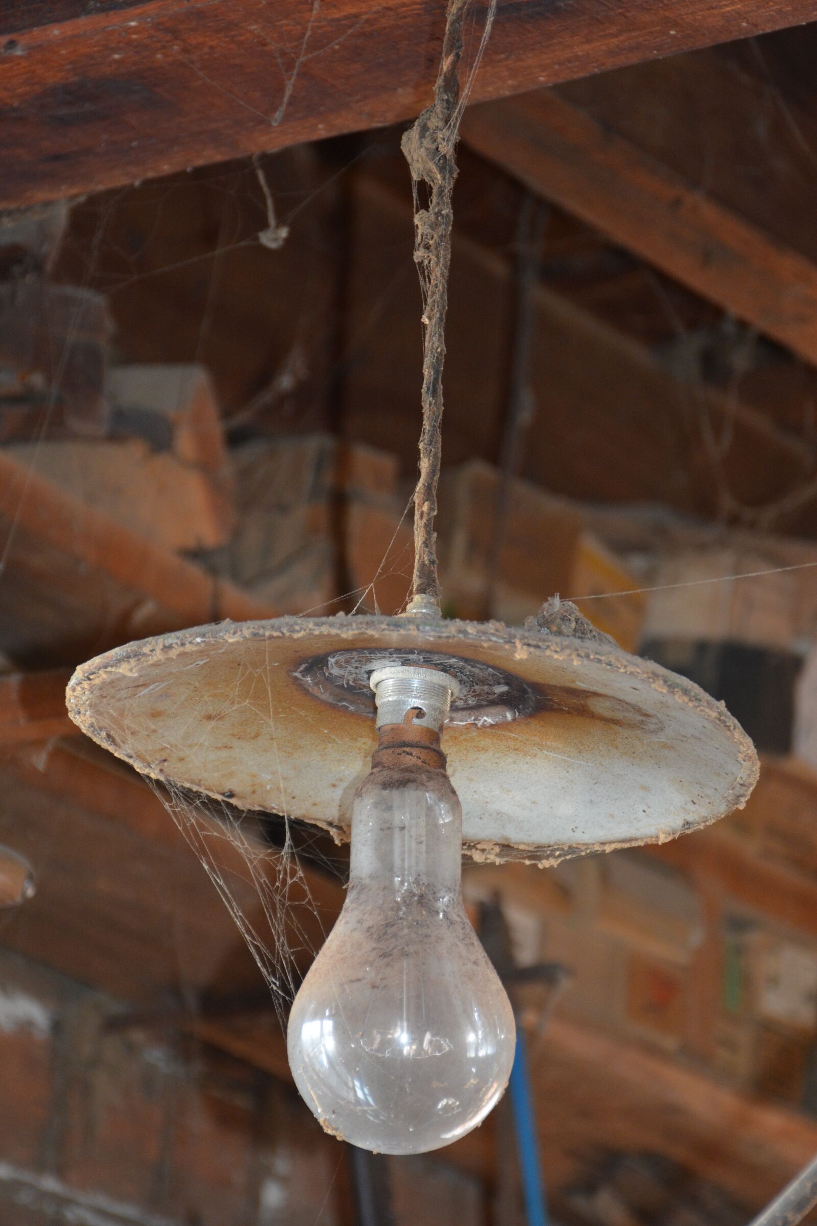 Nikon D7100 sample photo. Light, bulb, spider web photography