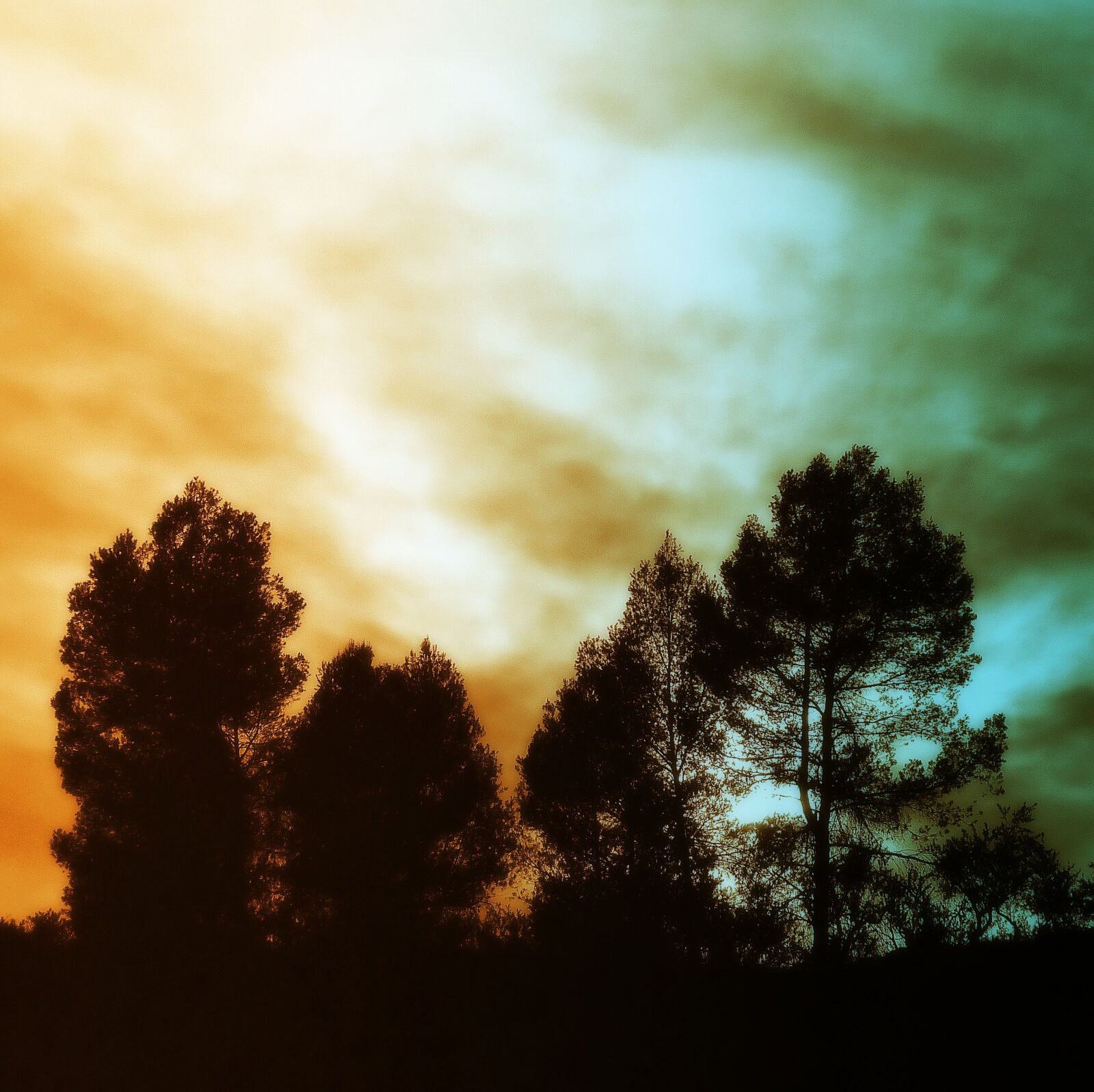 Panasonic DMC-TZ7 sample photo. Dreams, landscape, tarifa photography