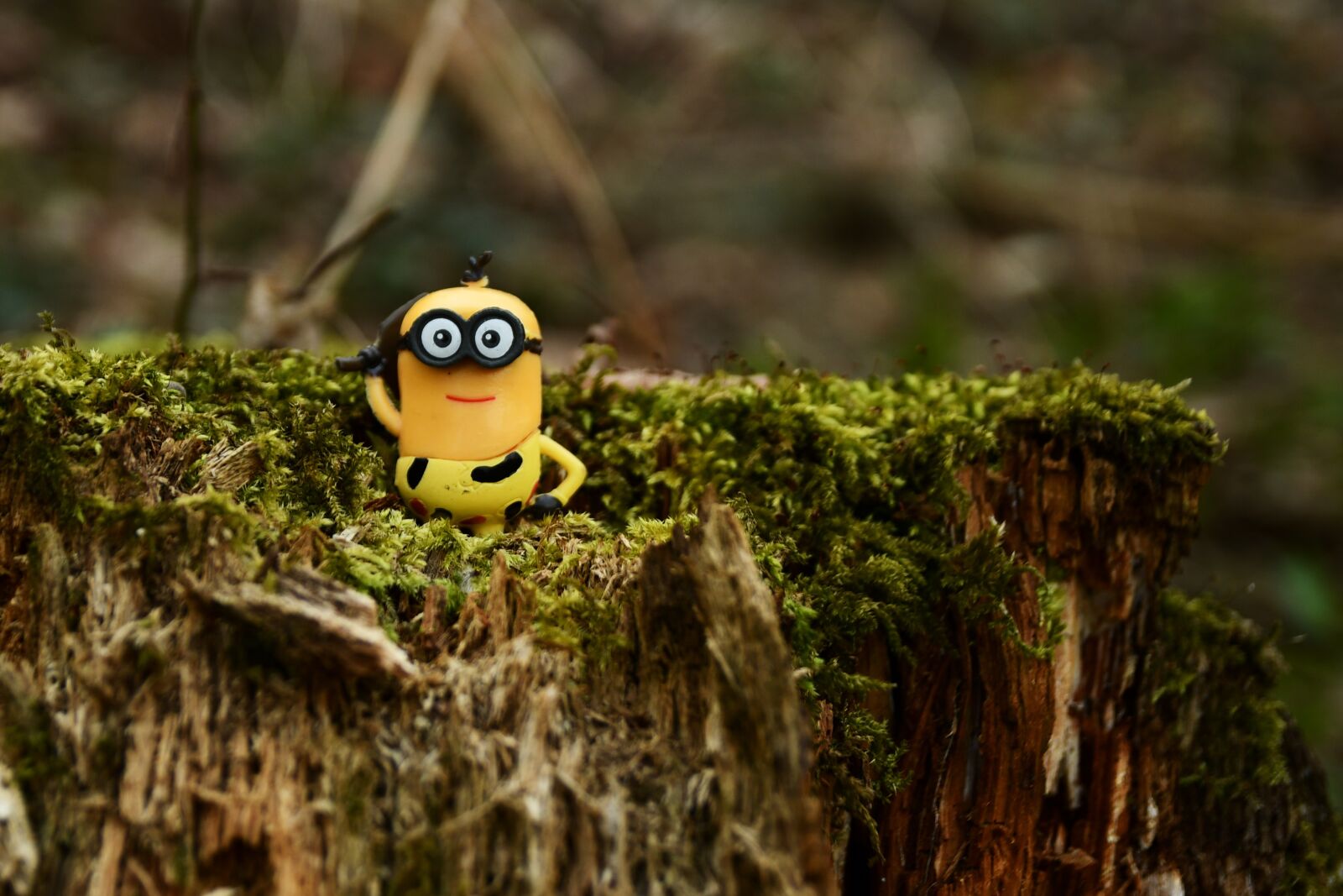 Nikon D7500 sample photo. Minion, funny, toys photography