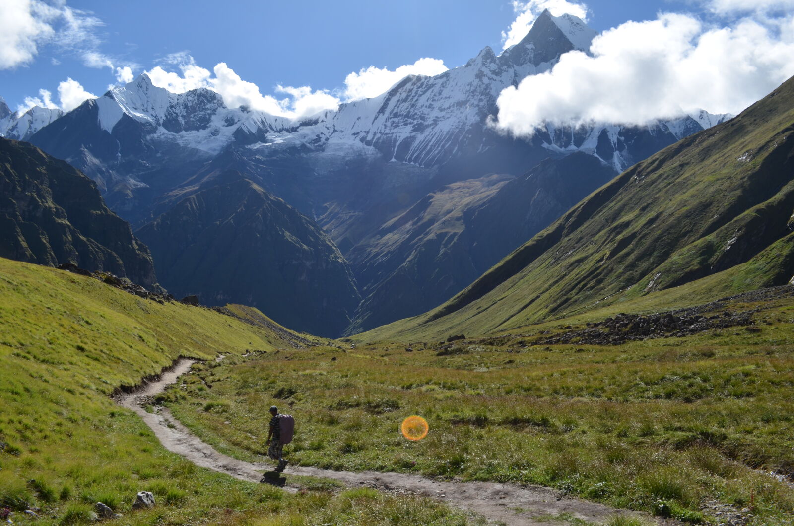 Nikon D5100 sample photo. Forest, himalaya, mountain, nature photography