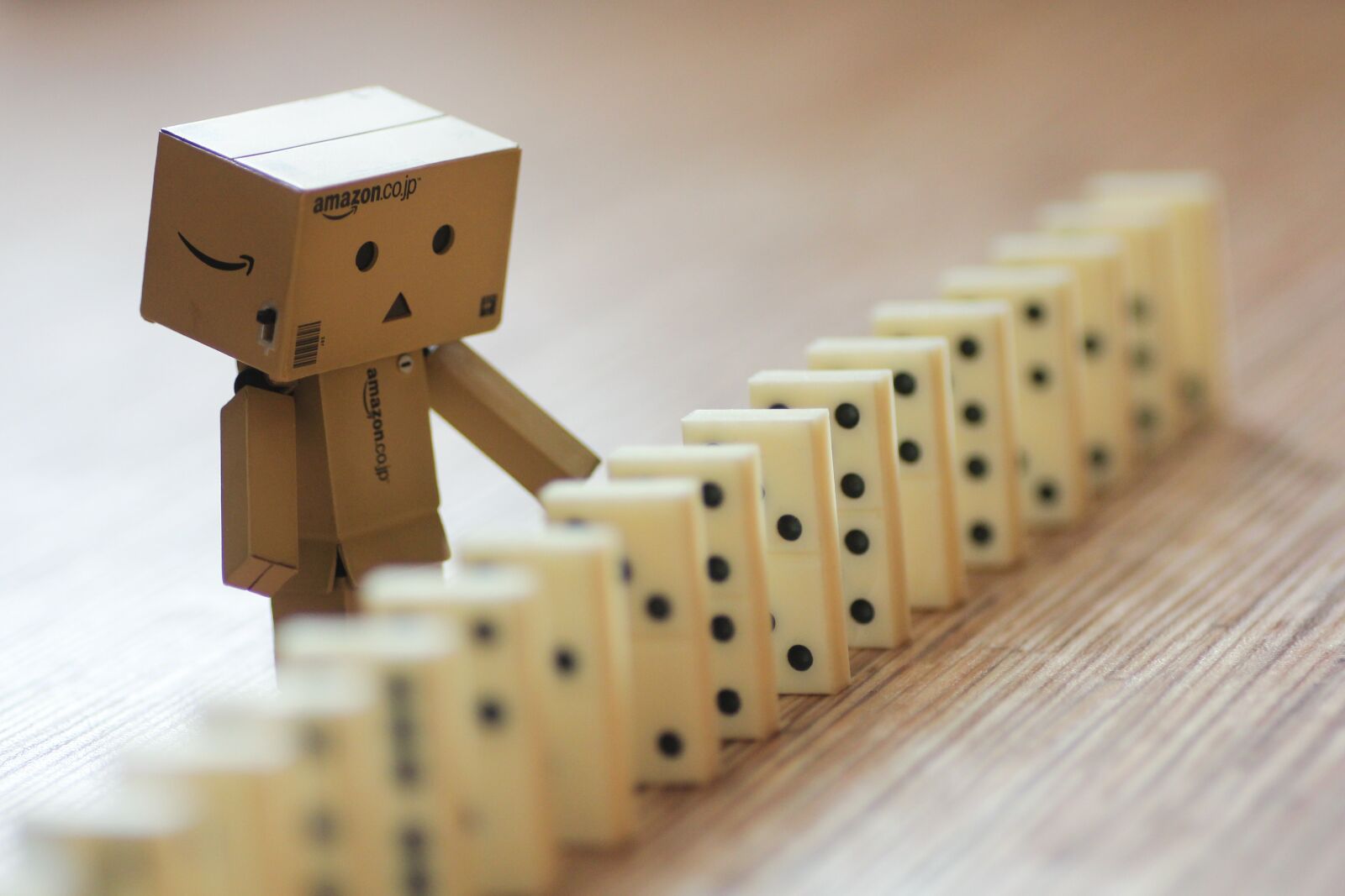 Canon EOS 550D (EOS Rebel T2i / EOS Kiss X4) sample photo. Danbo, domino, macro photography