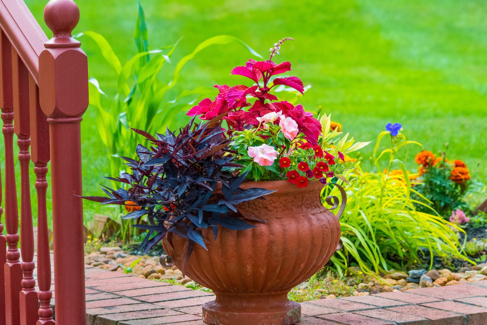 Nikon D800 sample photo. Gardening, flowers, pot photography