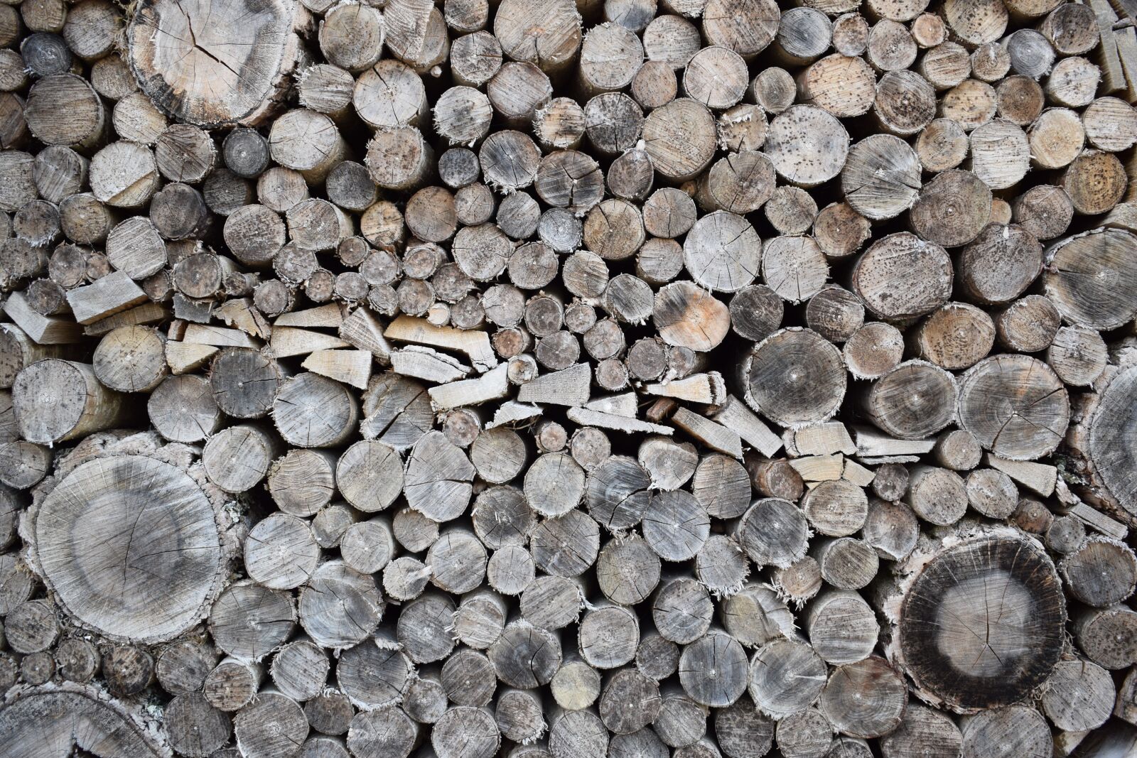Nikon D3300 sample photo. Logs, log pile, wood photography