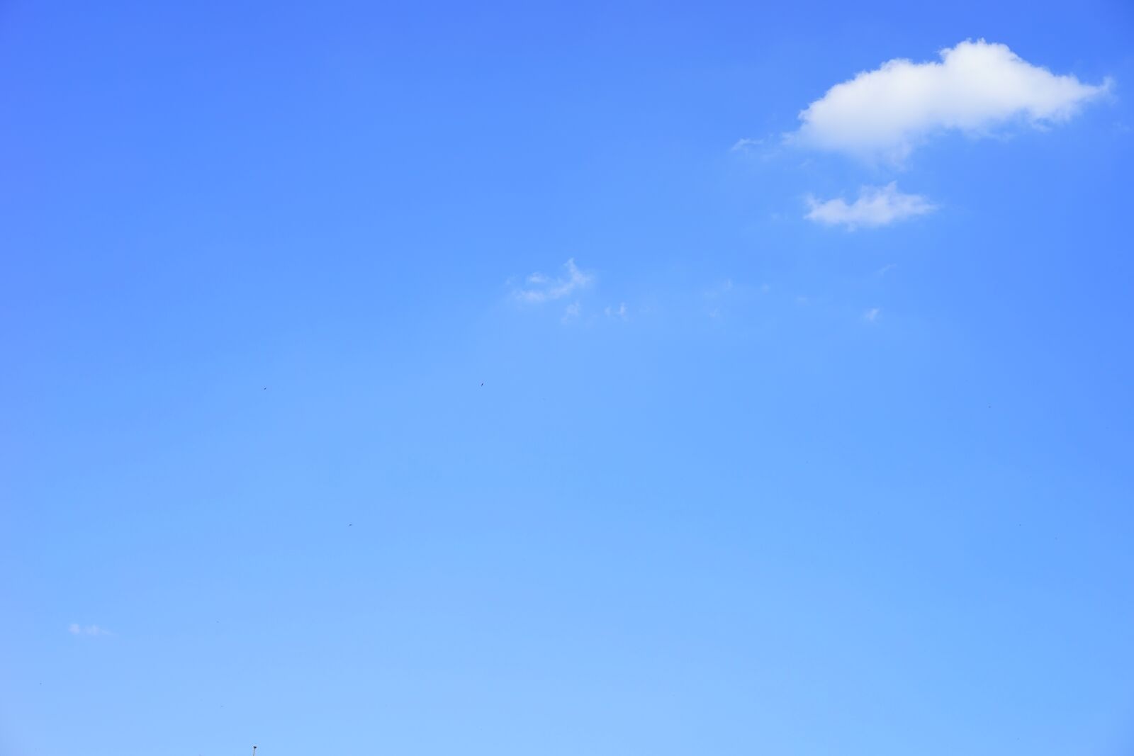 Sony a7 + Sony Sonnar T* FE 55mm F1.8 ZA sample photo. Clouds, cumulus, cumulus clouds photography