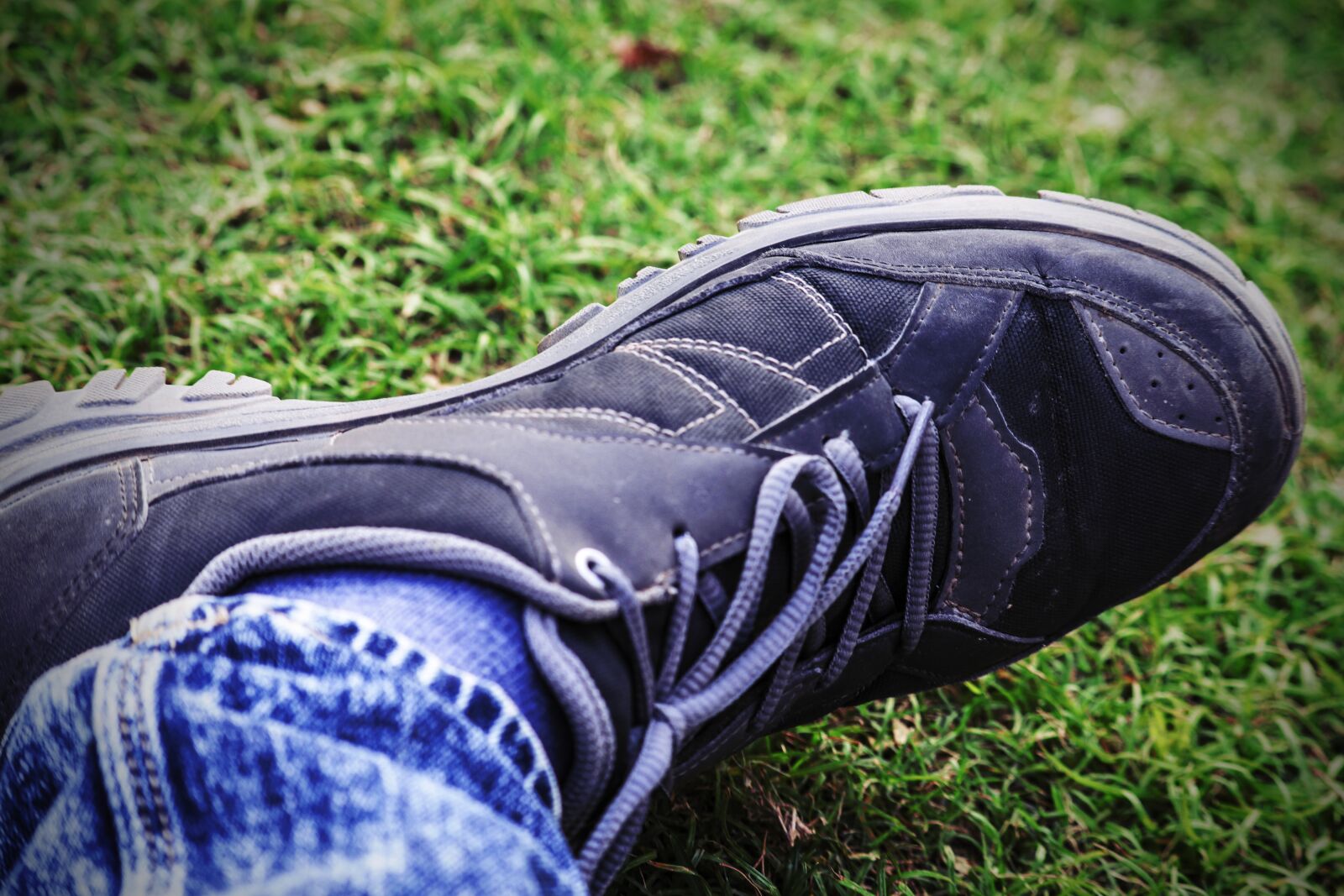 Canon EOS 200D (EOS Rebel SL2 / EOS Kiss X9) sample photo. Grass, outdoors, summer photography