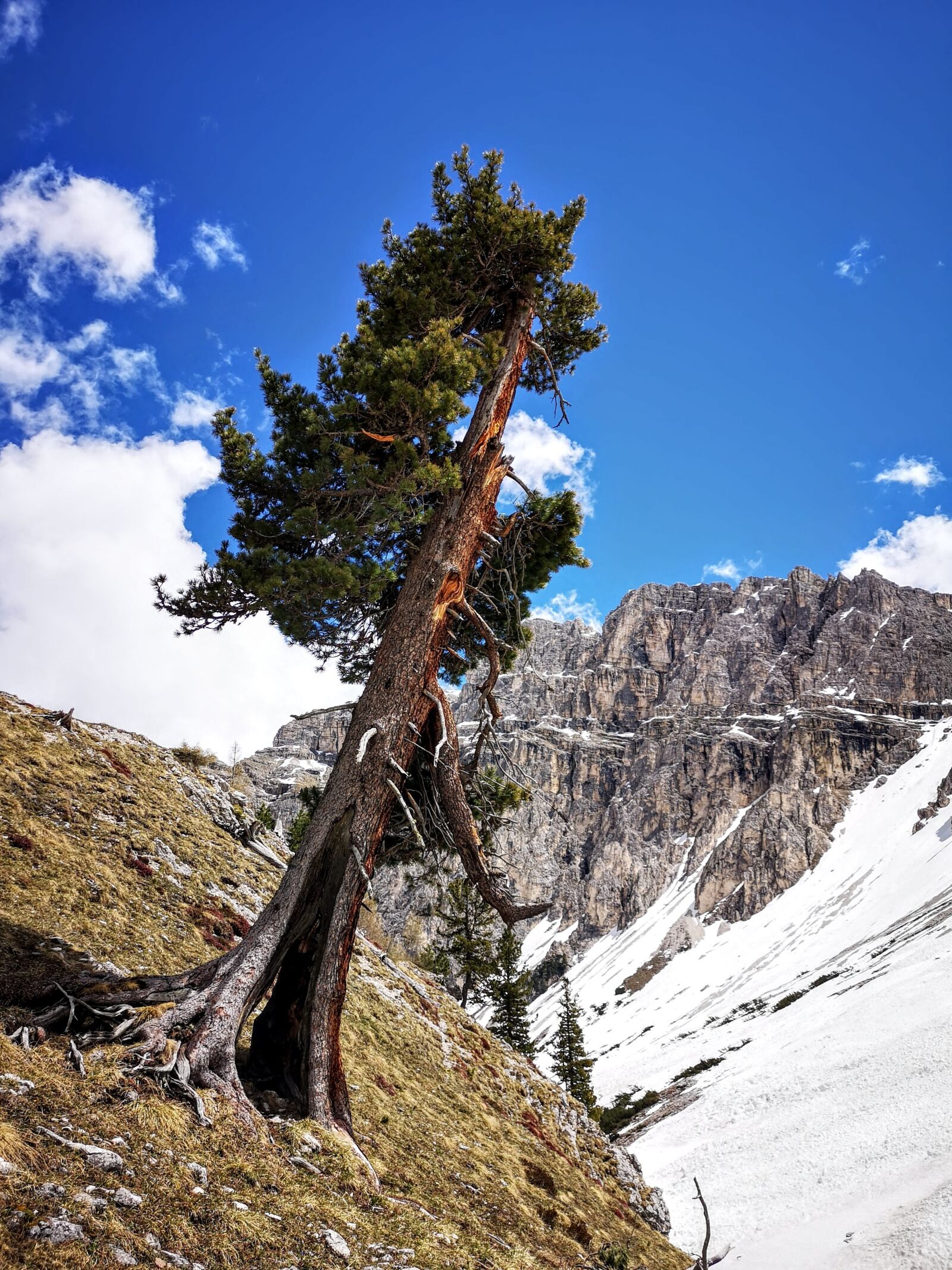 HUAWEI CLT-L09 sample photo. Antersasc, dolomites, alps photography
