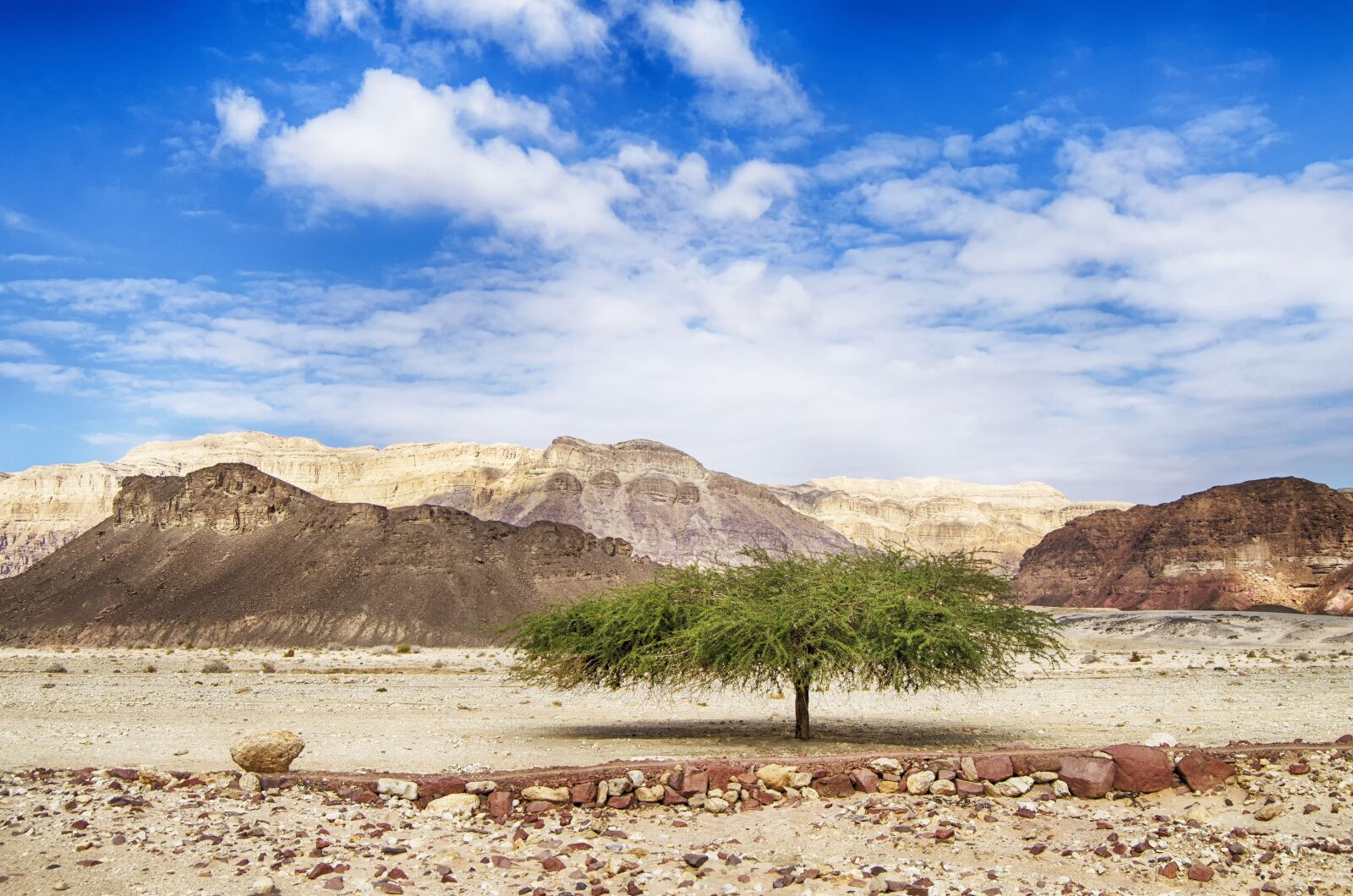 Nikon D5100 sample photo. Israel, negev, timna park photography
