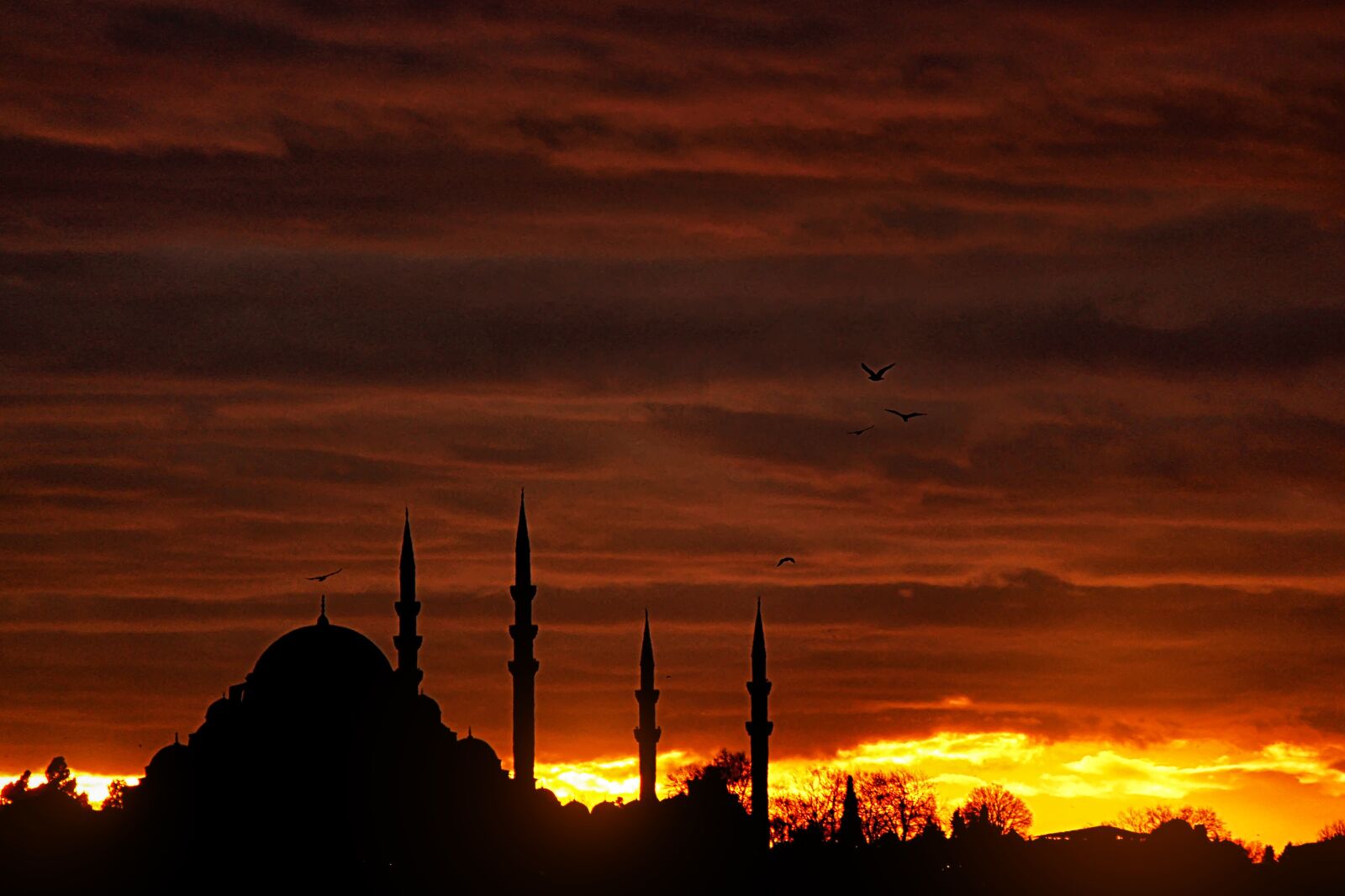 Canon EOS 650D (EOS Rebel T4i / EOS Kiss X6i) + Canon EF-S 55-250mm F4-5.6 IS II sample photo. Mosque, sunset, minaret photography