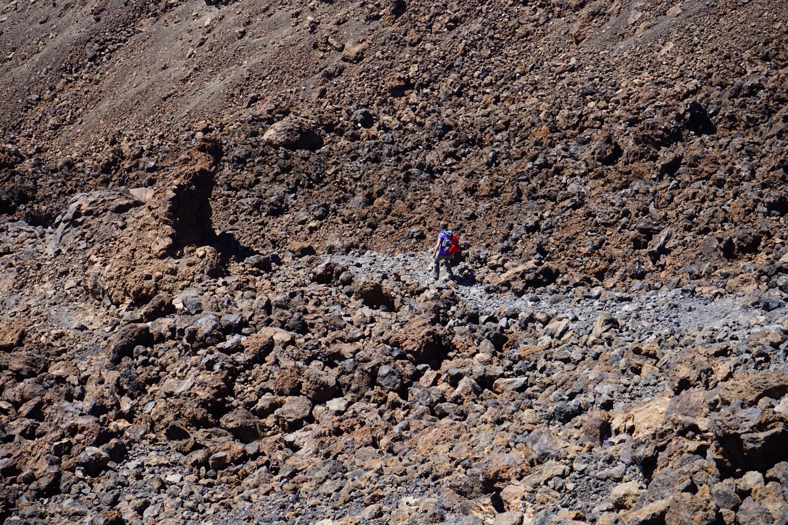 Sony a7 + Sony FE 28-70mm F3.5-5.6 OSS sample photo. Lava field, trail, lava photography