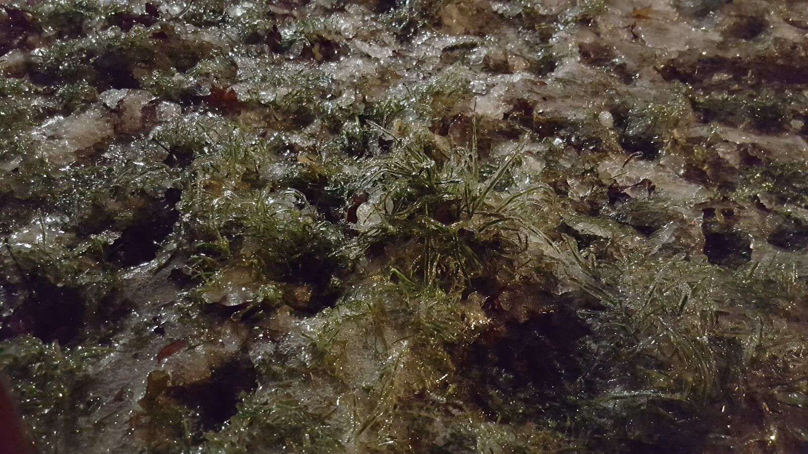 Samsung Galaxy S6 sample photo. Ice, storm photography