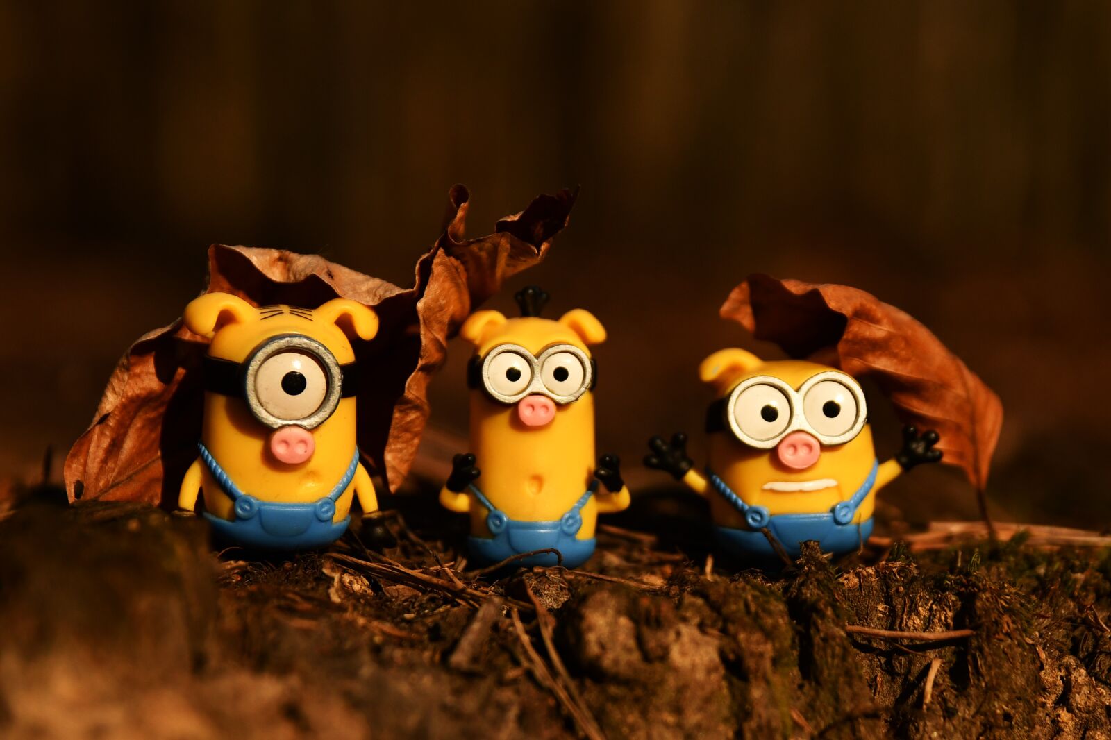 Nikon D7500 sample photo. Minion, funny, toys photography