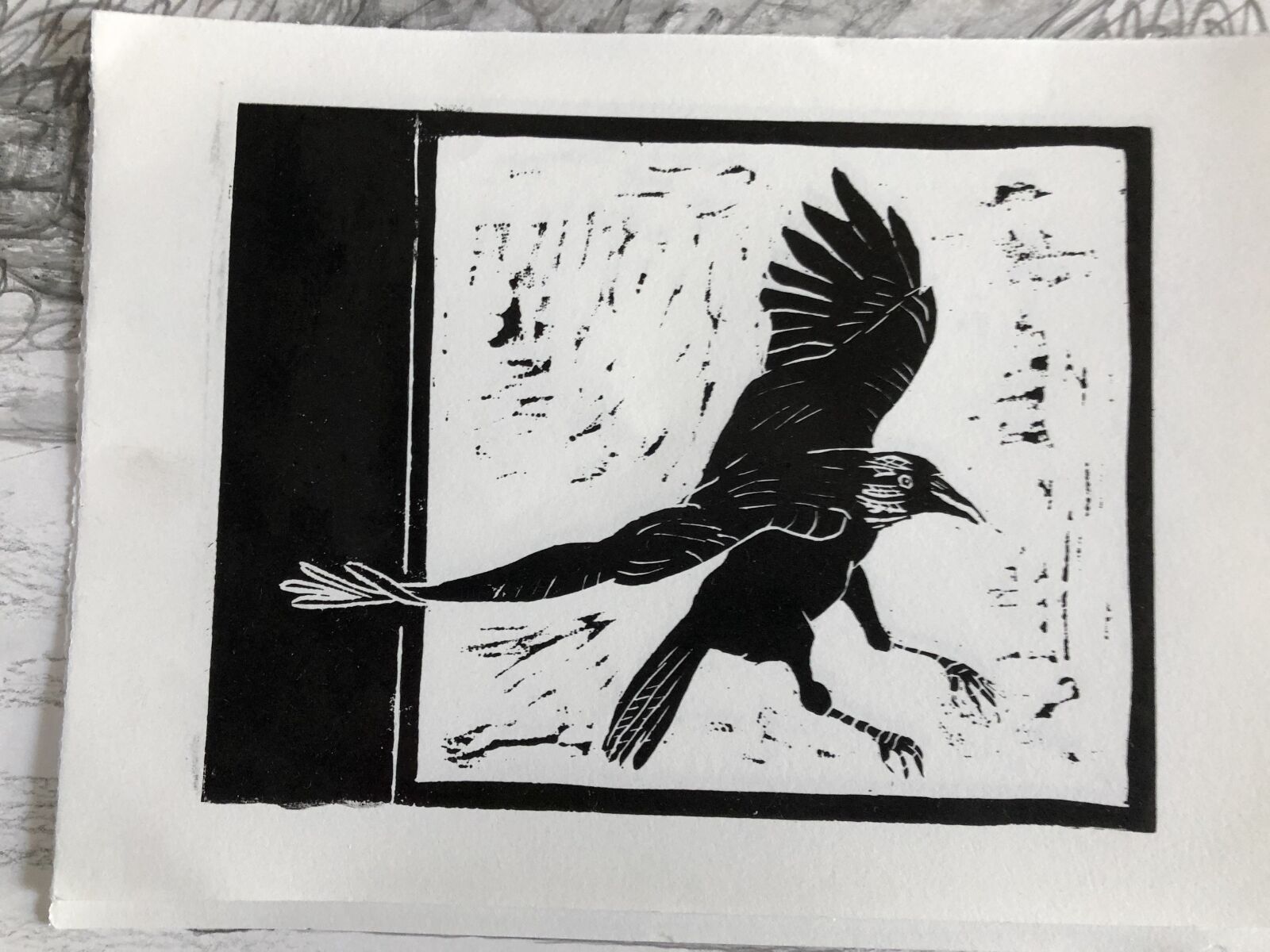 Apple iPhone 8 sample photo. Raven, bird, landing photography