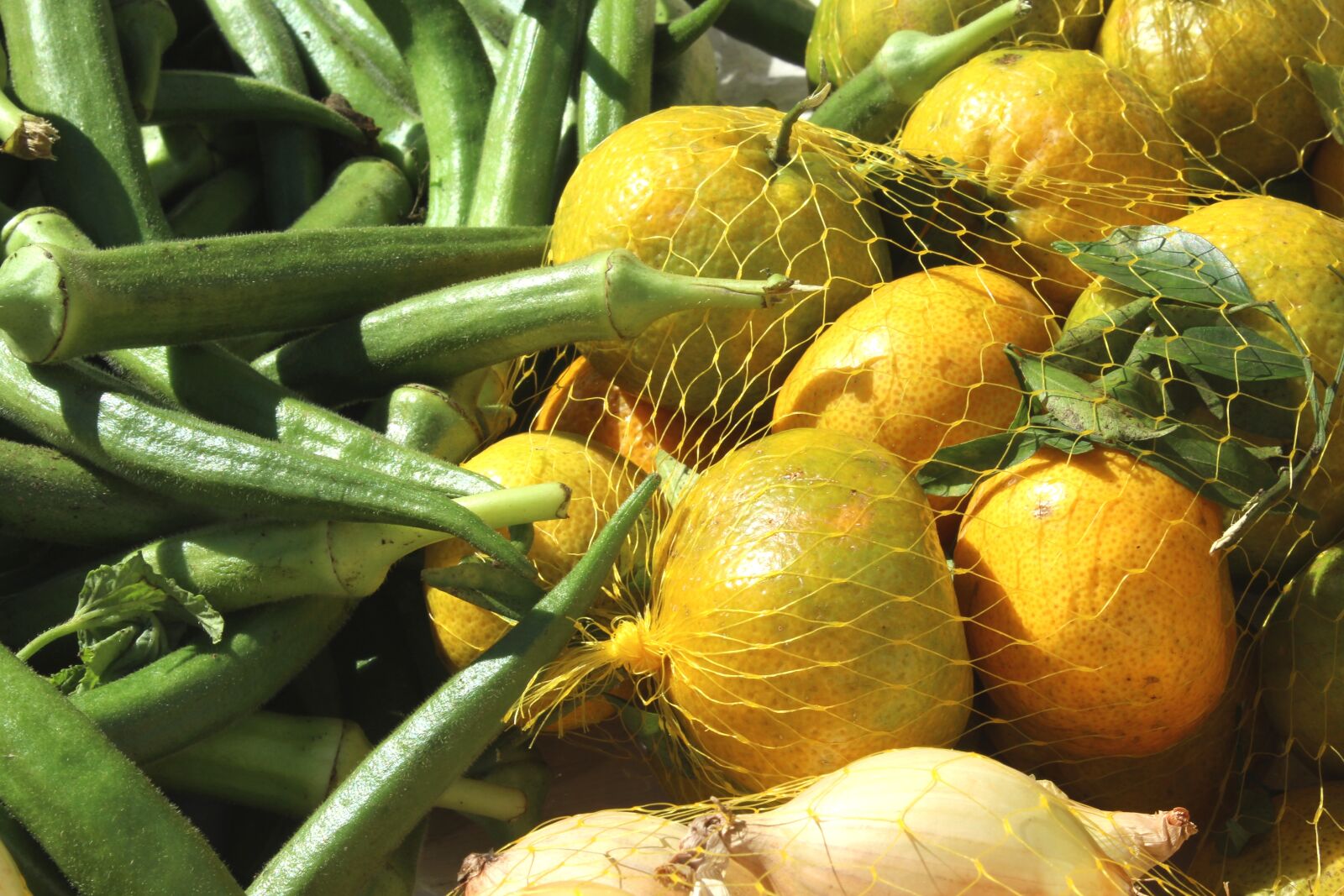 Canon EOS 1200D (EOS Rebel T5 / EOS Kiss X70 / EOS Hi) sample photo. Fair, okra, tangerine photography