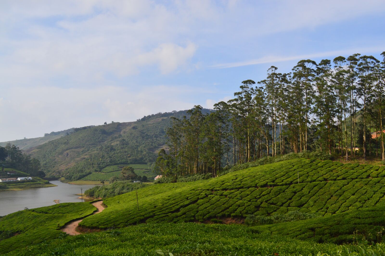 Nikon D3200 sample photo. Meghamalai, hills, theni photography