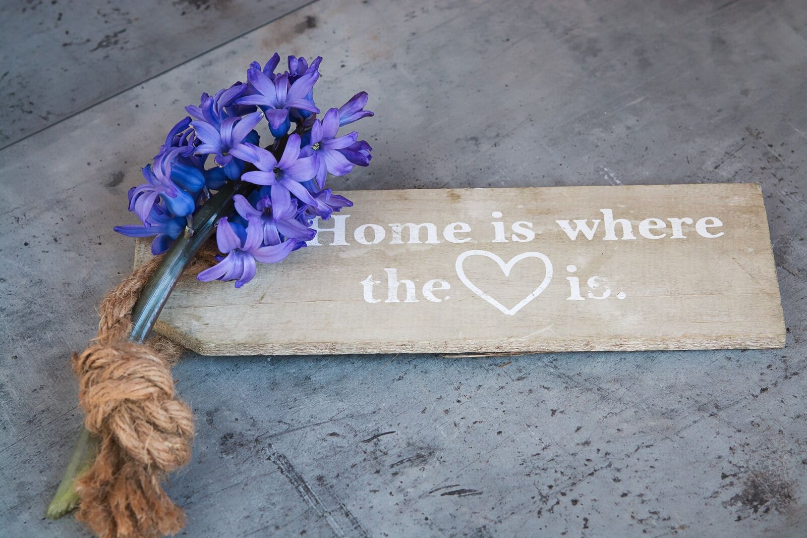 Nikon D7100 sample photo. Hyacinth, blue, blue flower photography