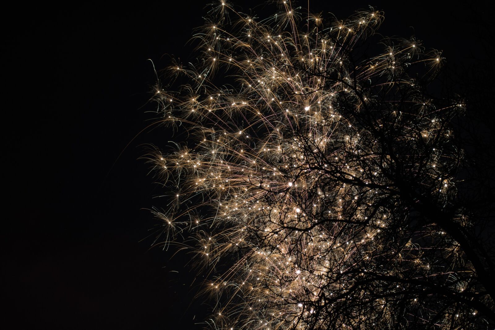 Nikon D7200 sample photo. Fireworks, rocket, new year's photography