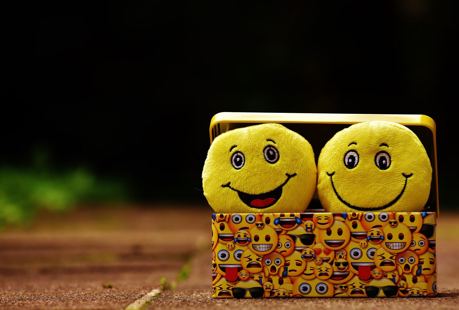 Nikon D7200 sample photo. Smilies, yellow, funny photography