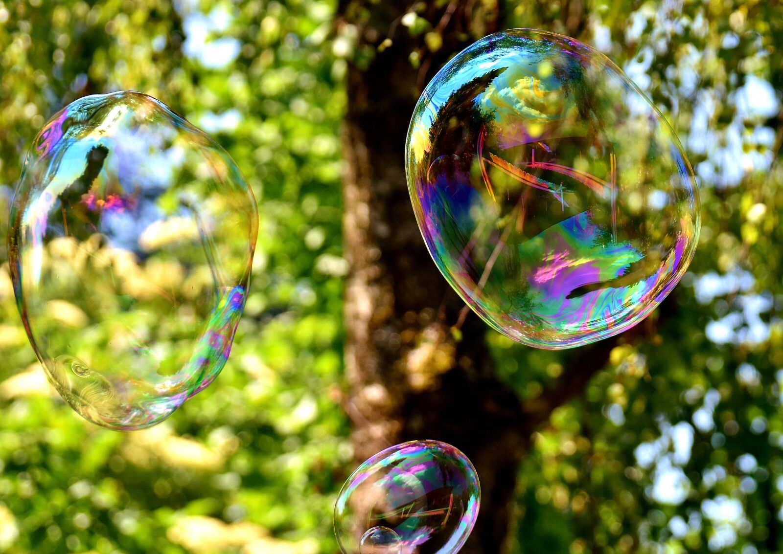 Nikon D7200 sample photo. Soap bubble, huge, large photography