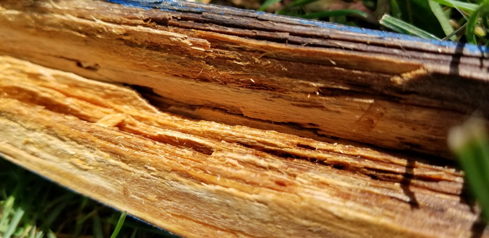 Samsung Galaxy S8 sample photo