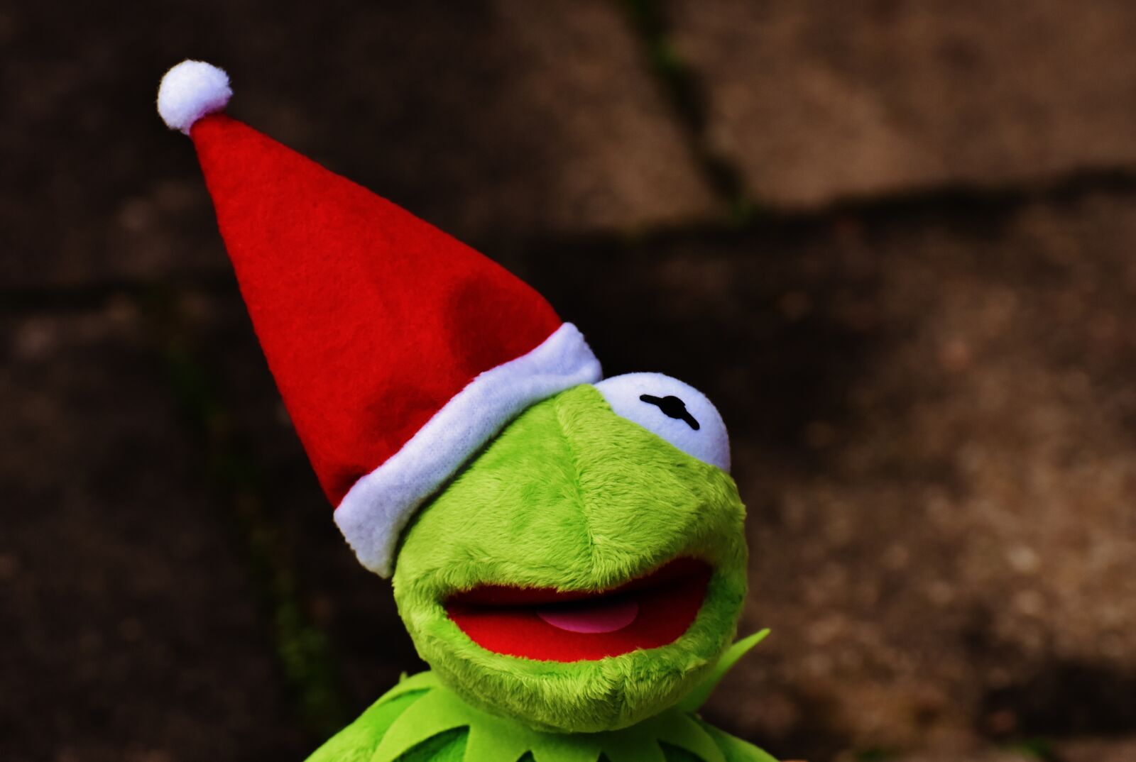 Nikon D7200 sample photo. Kermit, frog, christmas photography