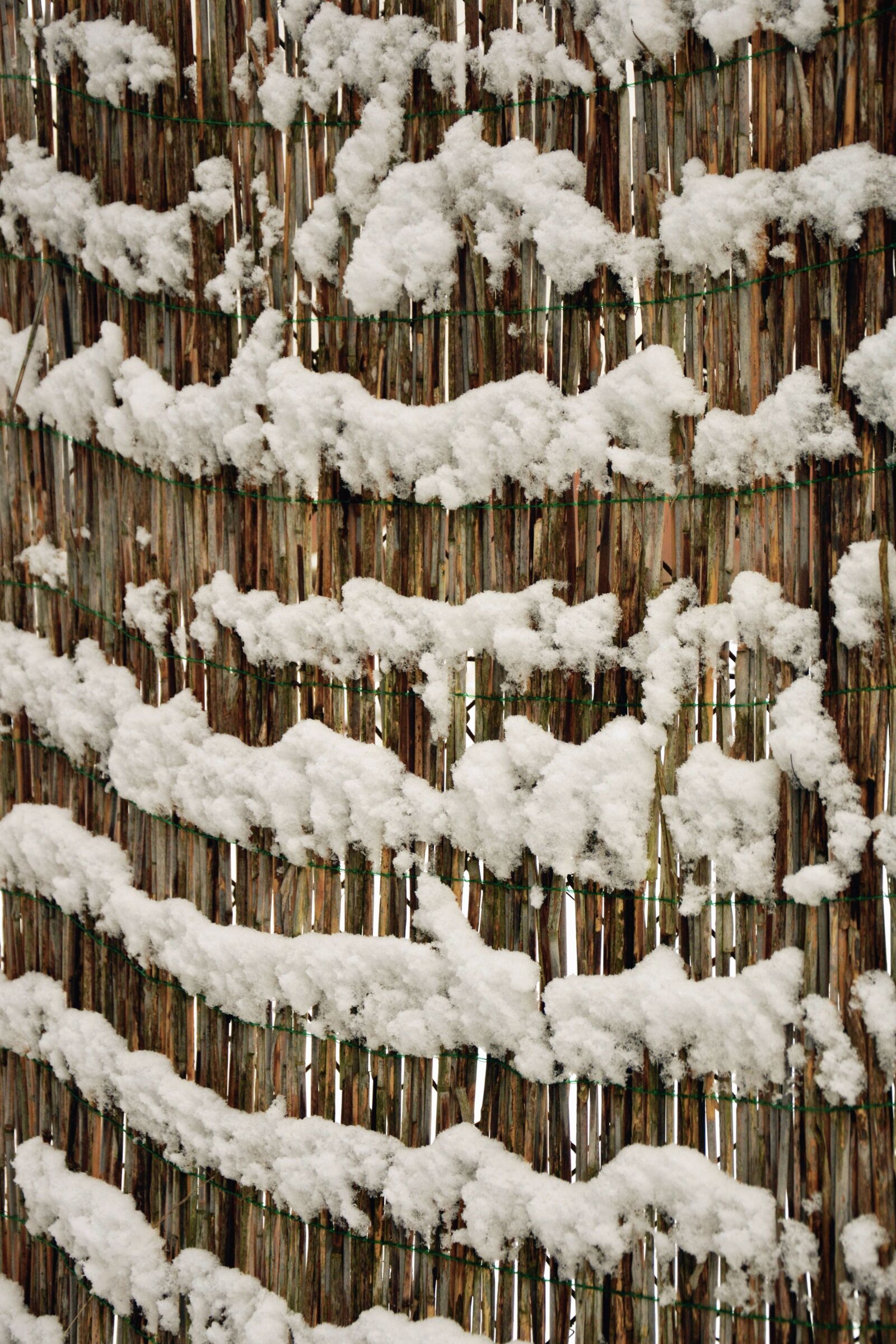 Nikon D5200 sample photo. Snow, fence, winter, cold photography