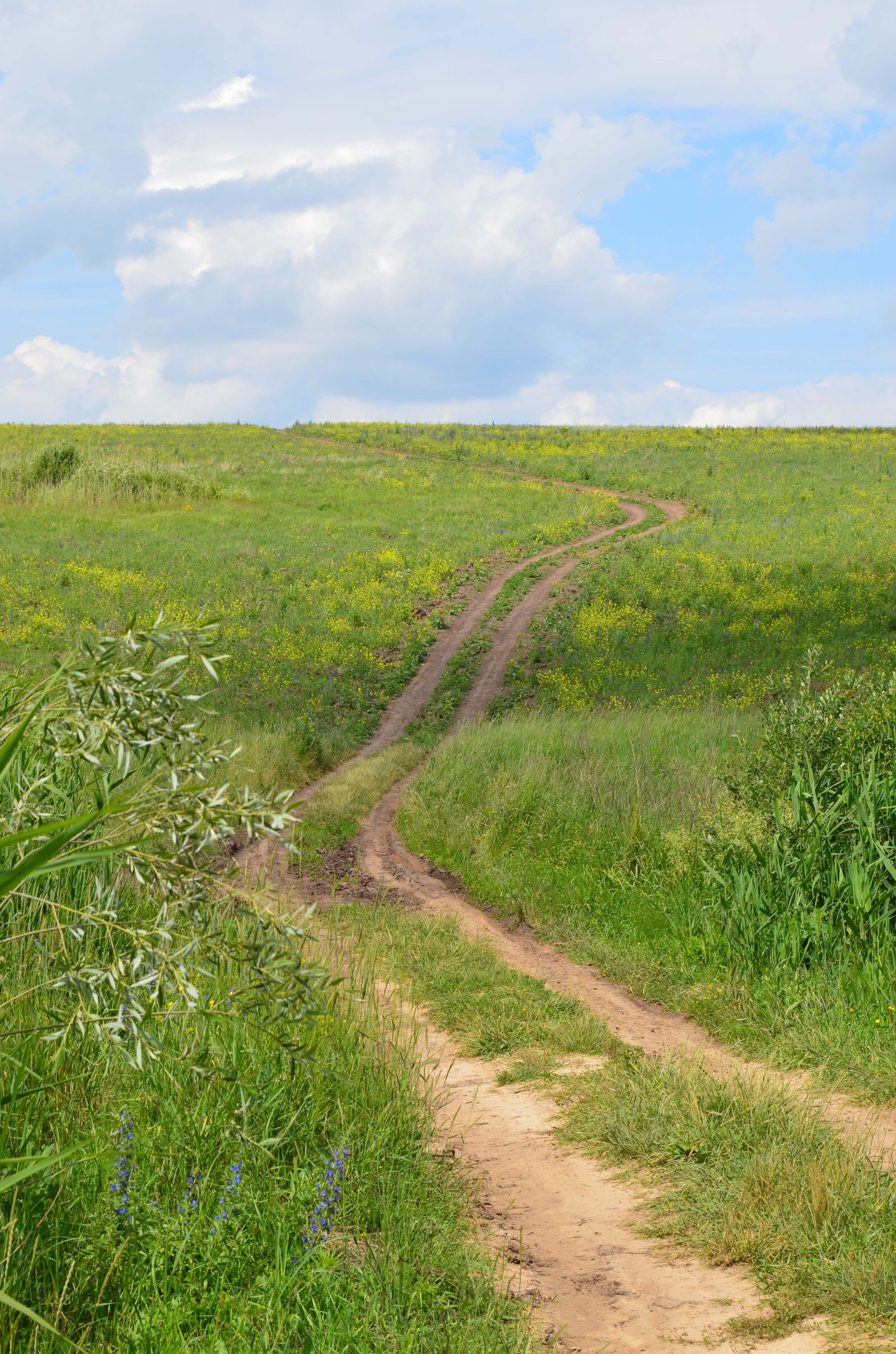Nikon D5100 sample photo. Field, hill, road photography