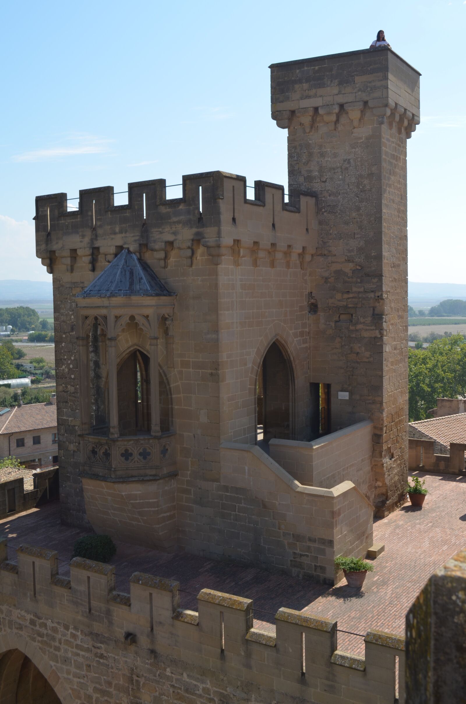 Nikon D5100 sample photo. Castle, torreon, battlement photography