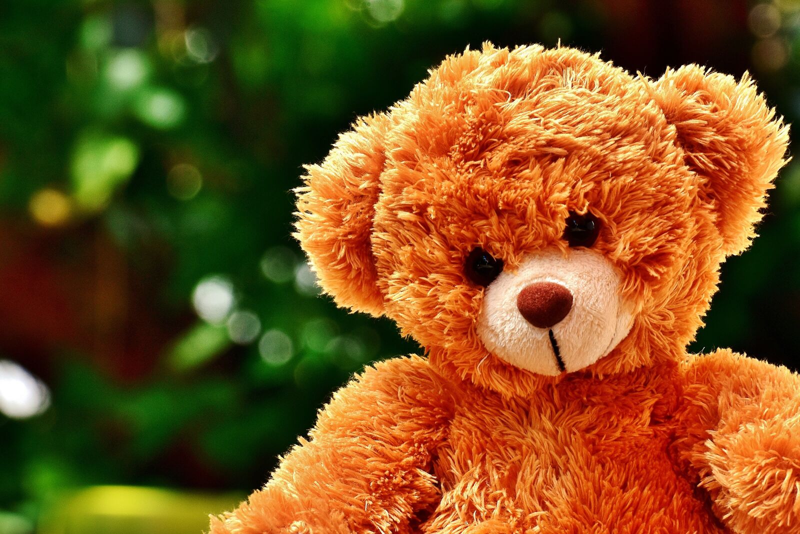 Nikon D7200 sample photo. Teddy, soft toy, cute photography
