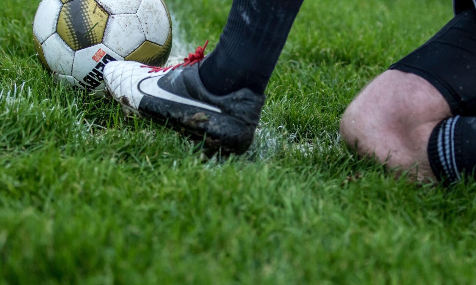 Canon EF 70-200mm F2.8L USM sample photo. Grass, field, foot photography