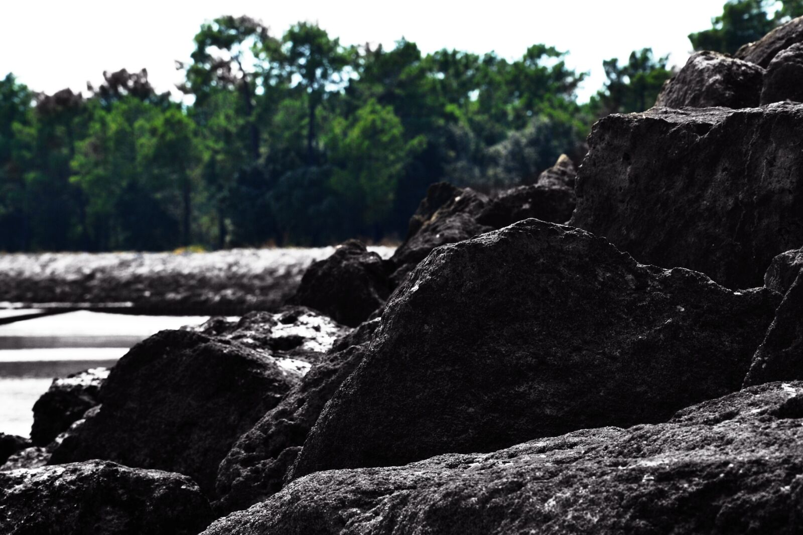Nikon D3100 sample photo. Nature, beach, oléron photography
