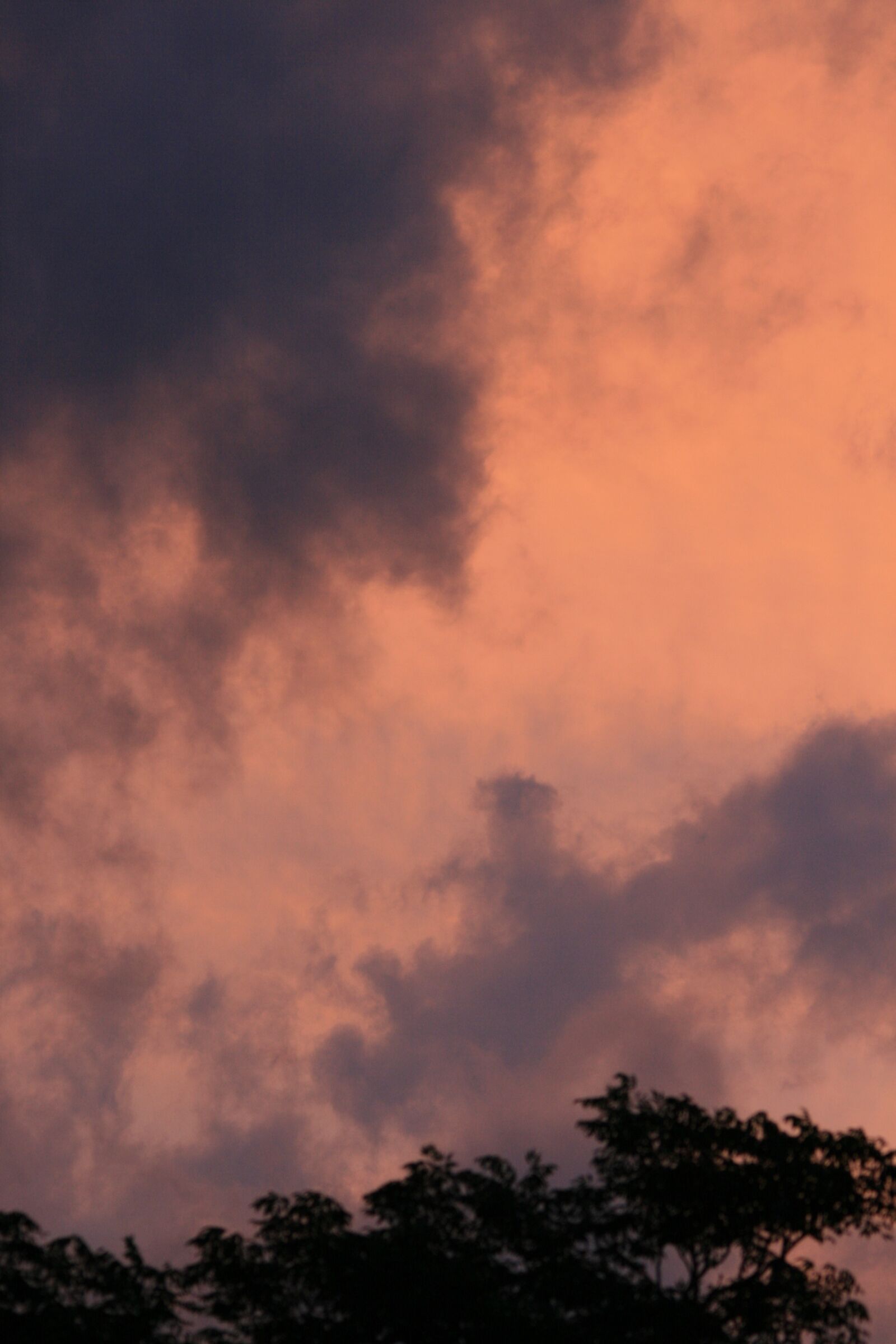 Canon EOS 400D (EOS Digital Rebel XTi / EOS Kiss Digital X) sample photo. Sky, sunset, pink photography