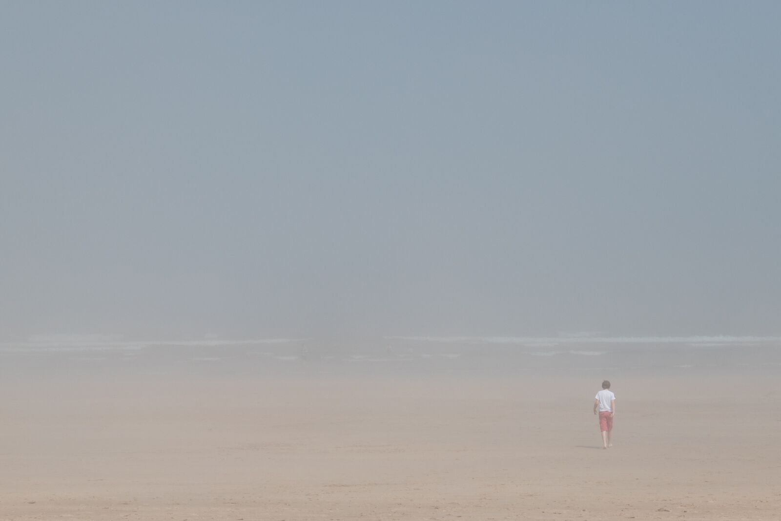 Panasonic DC-TZ200 sample photo. Mist, fog, beach photography