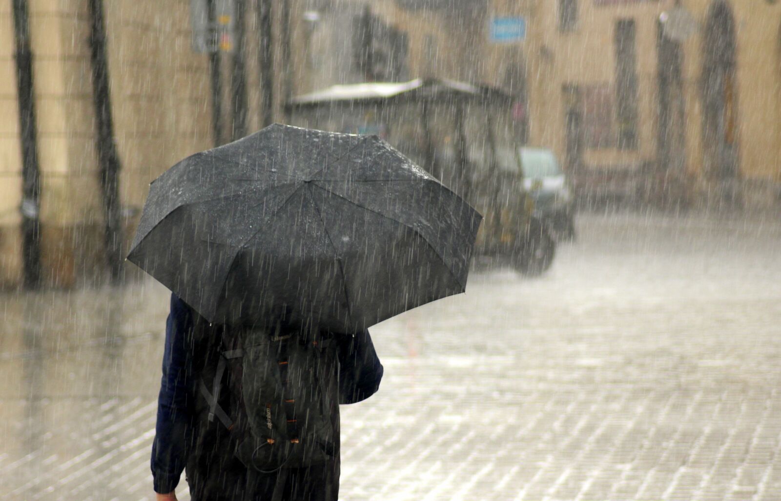 Canon EOS 1200D (EOS Rebel T5 / EOS Kiss X70 / EOS Hi) sample photo. Rain, male, umbrella photography