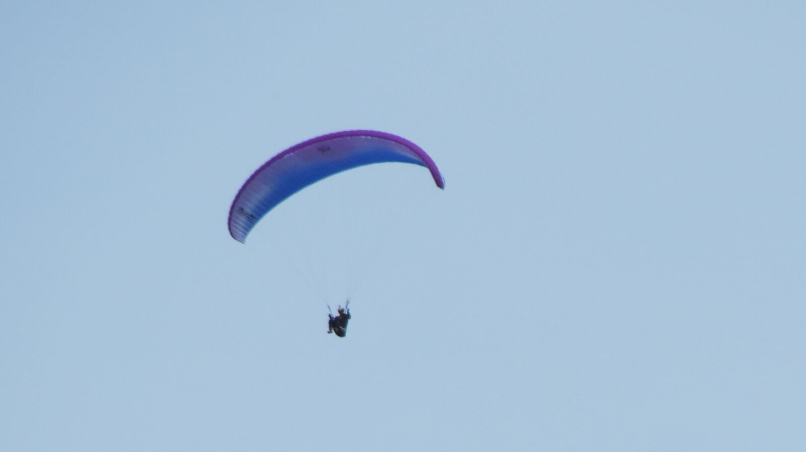 Canon PowerShot SX40 HS sample photo. Skydiving, extreme sports, skydive photography
