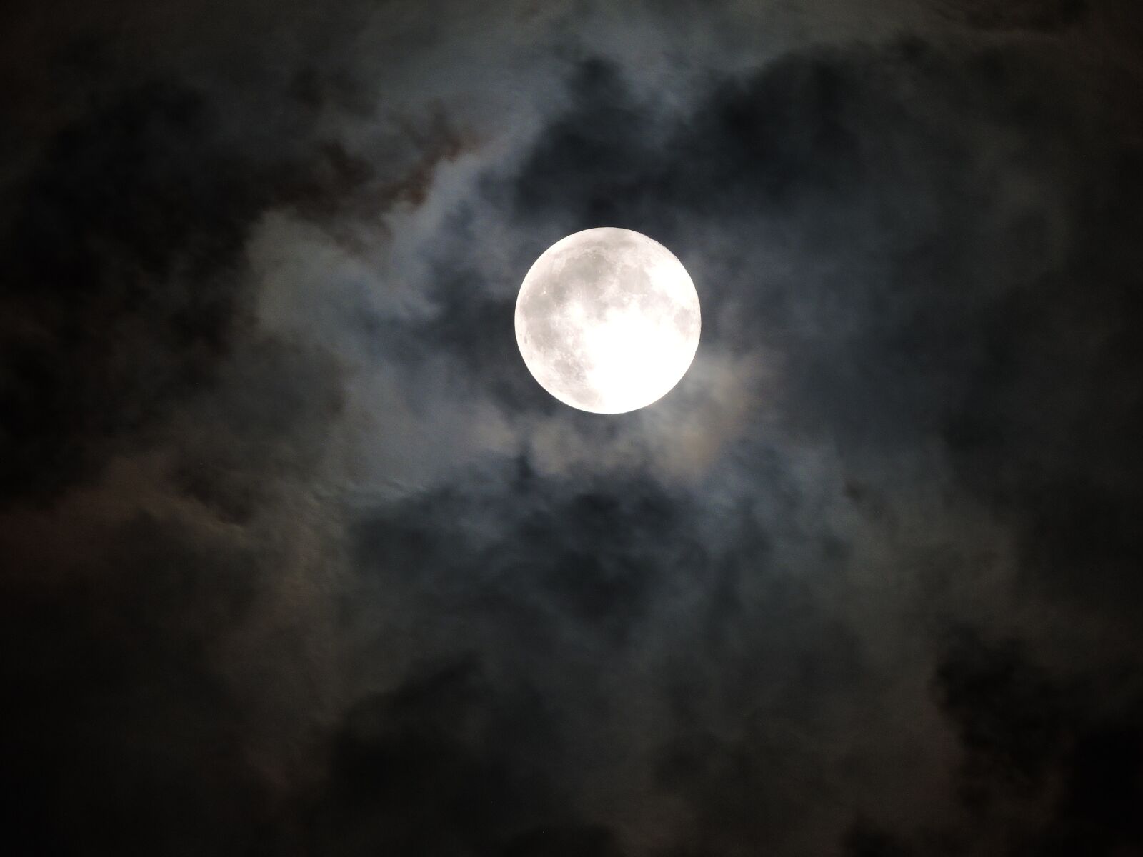 Nikon Coolpix P600 sample photo. Moonlight, moon, spooky photography
