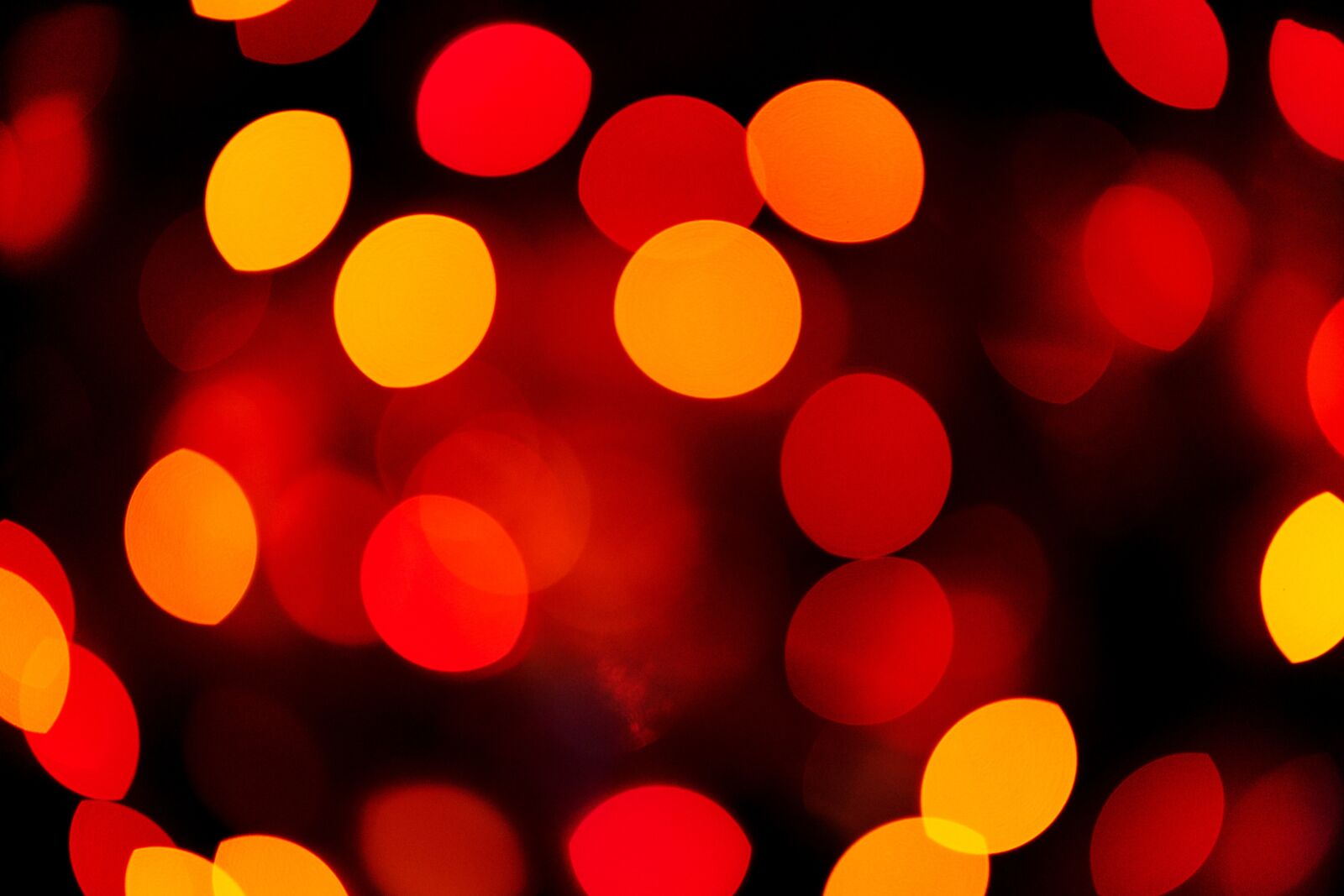 Sigma 85mm F1.4 DG HSM Art sample photo. Christmas, new year, 2019 photography